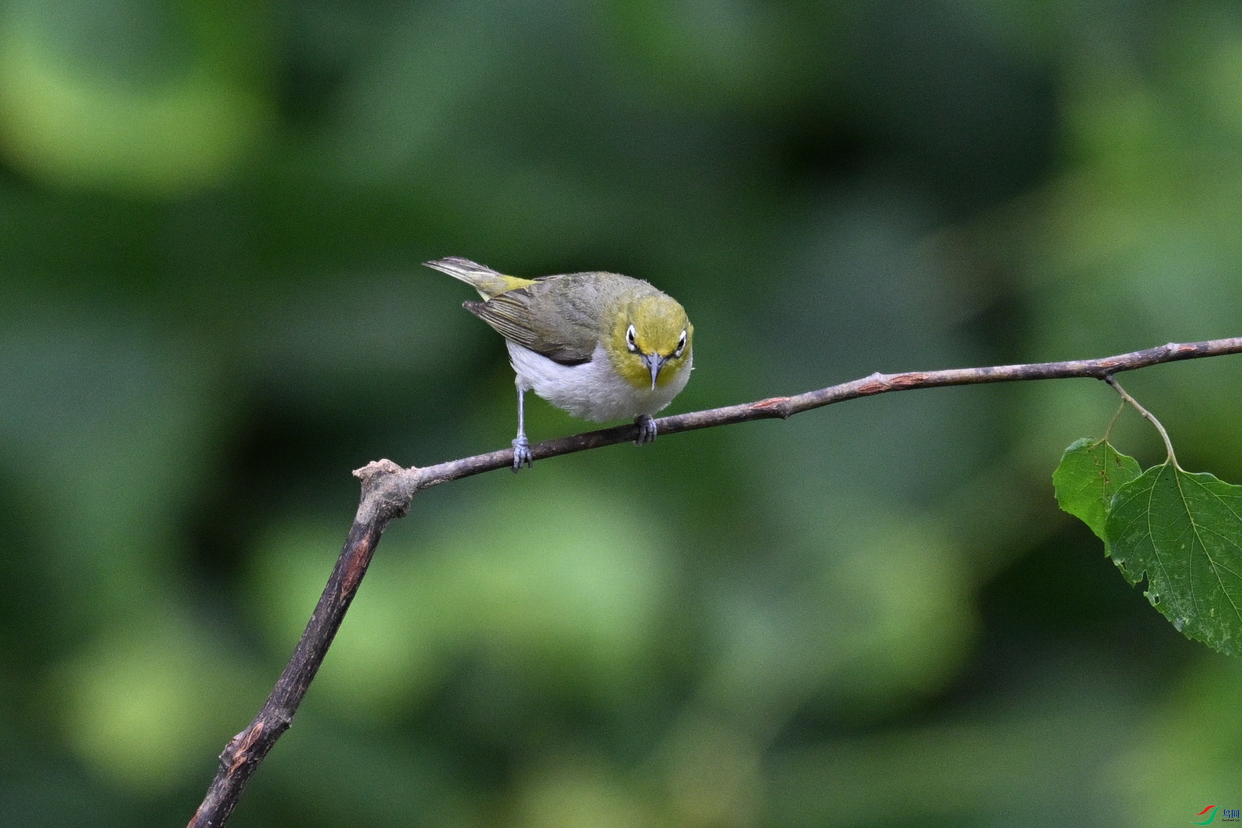 DSC_8018.JPG