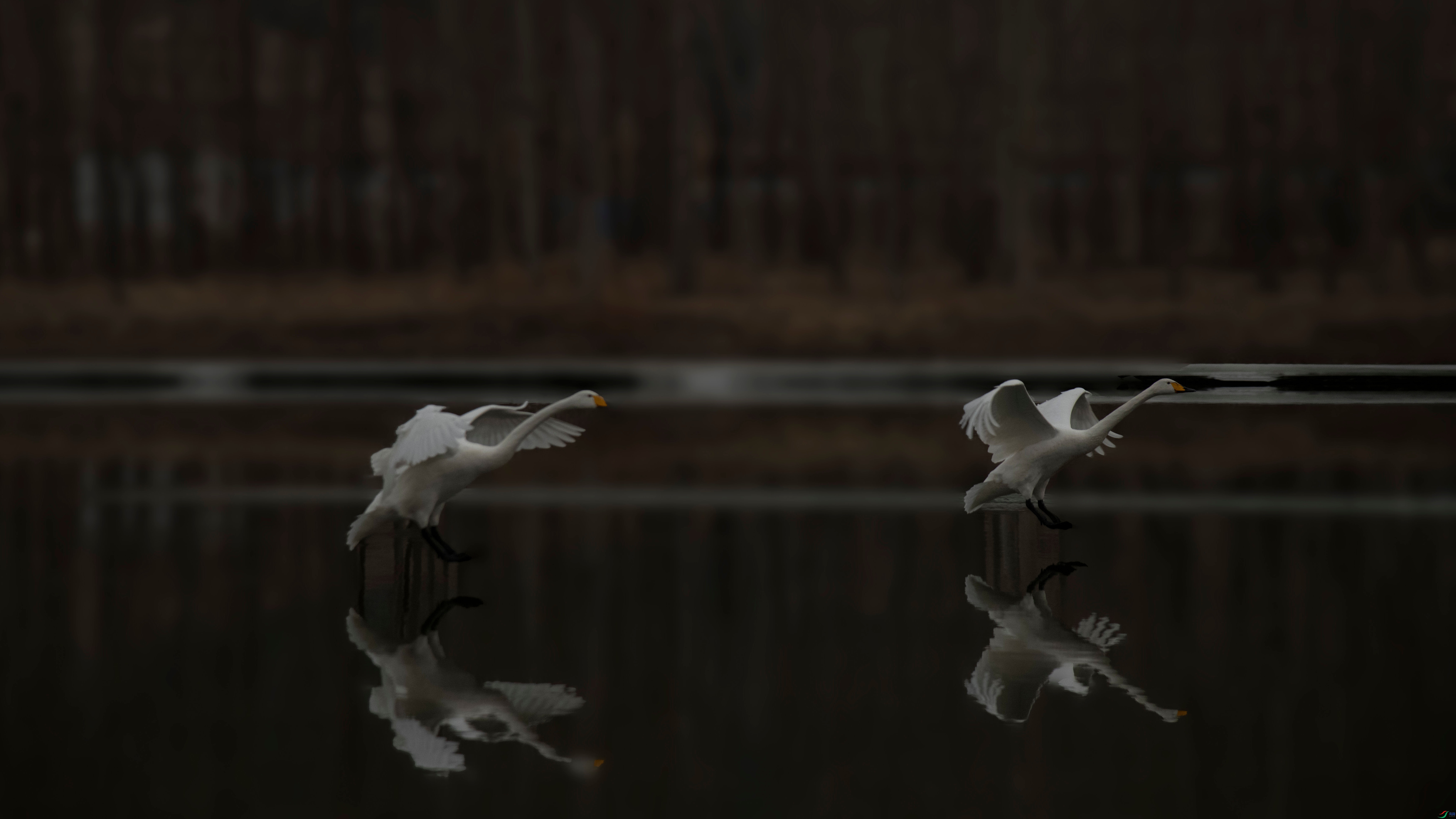 _LJY0960_����.jpg