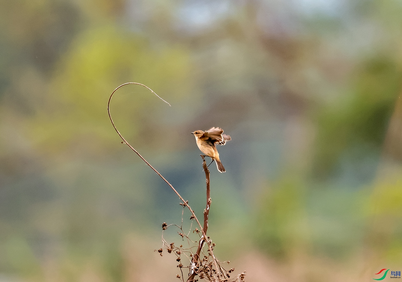 0J2A7640-0.jpg