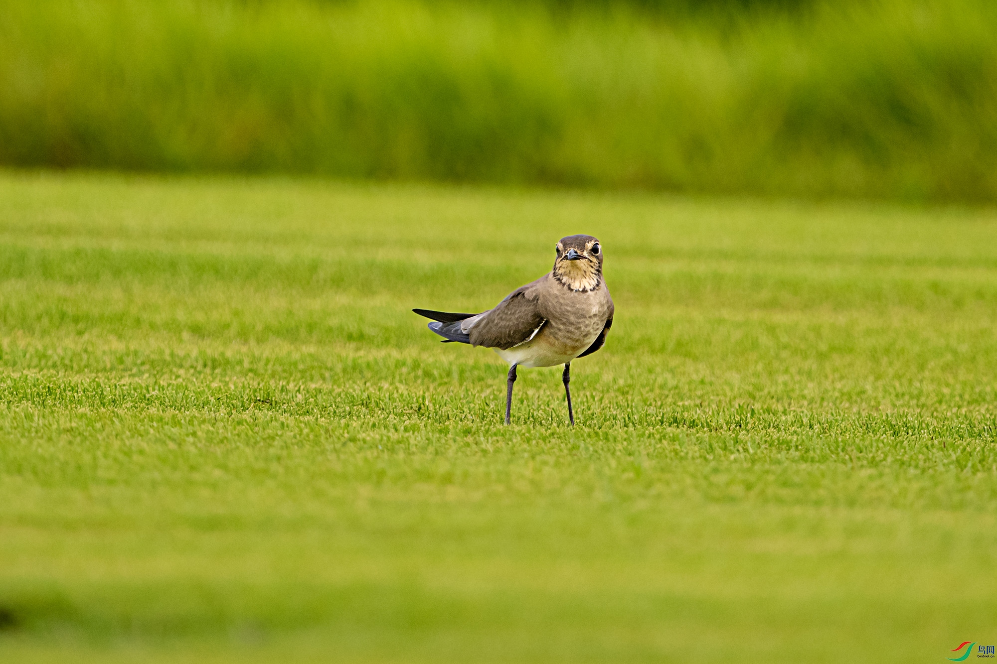 DSC_7066.jpg