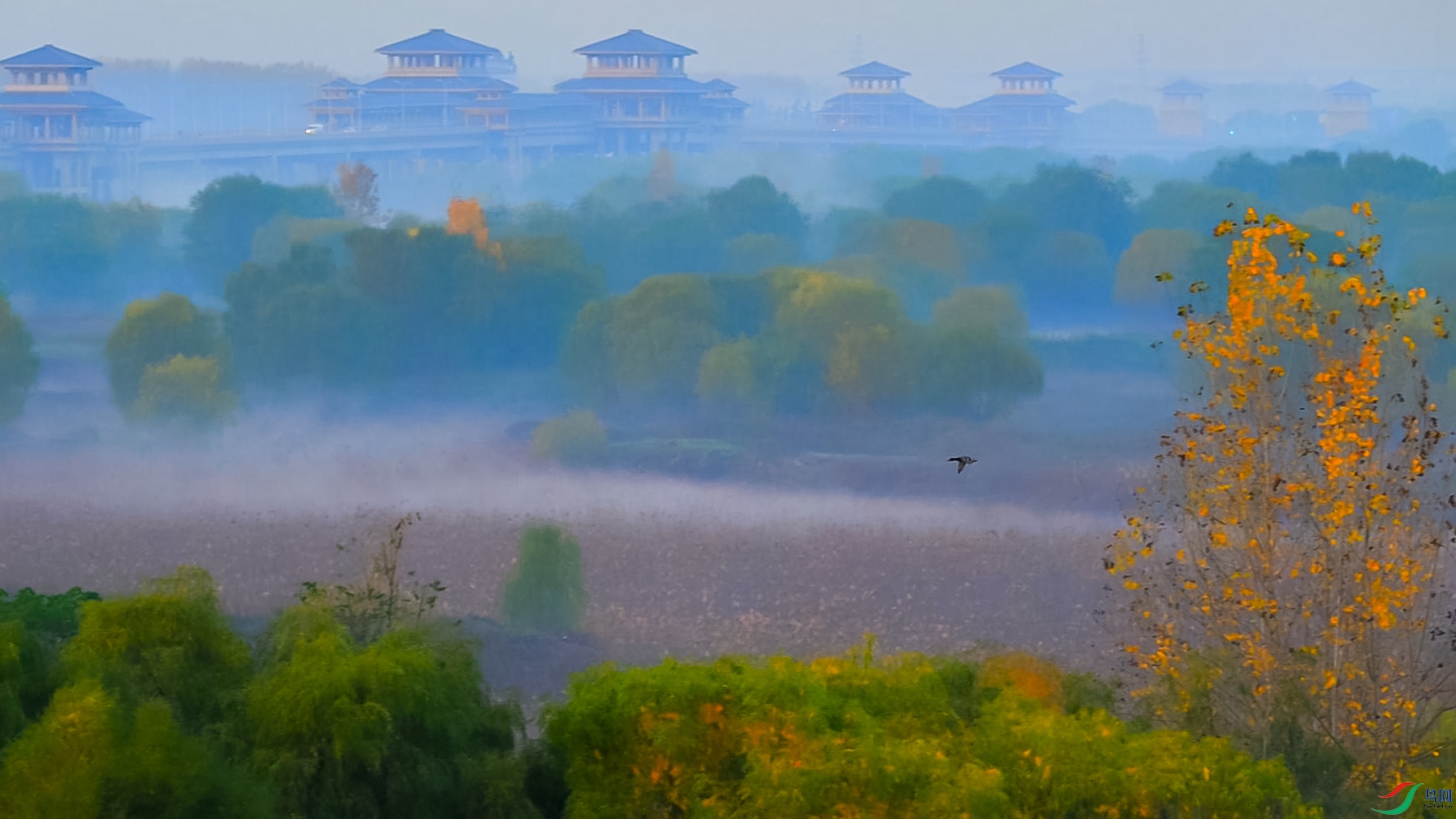 �λش���-���� ����.jpg