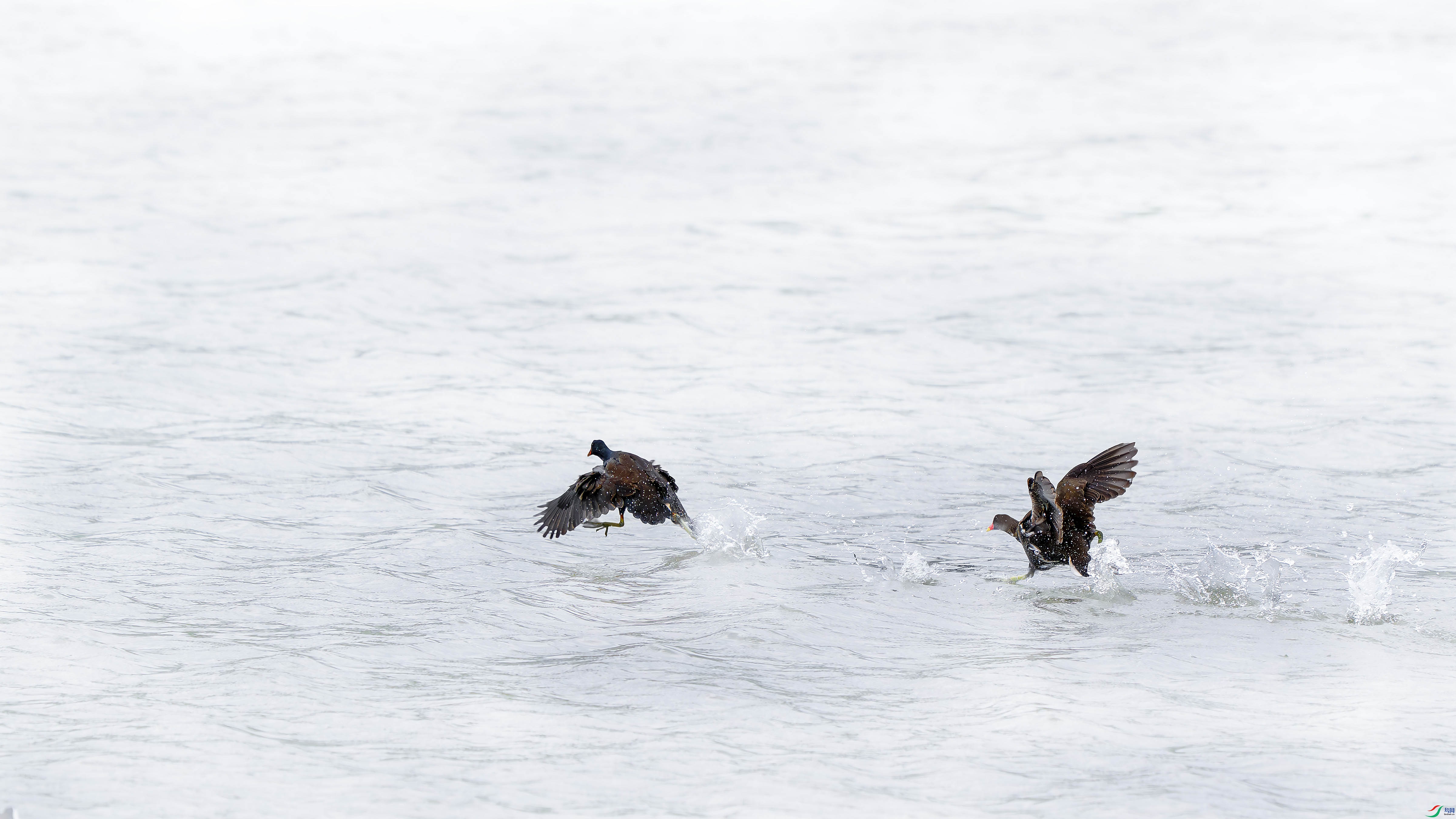 _DSC4680 ����.jpg