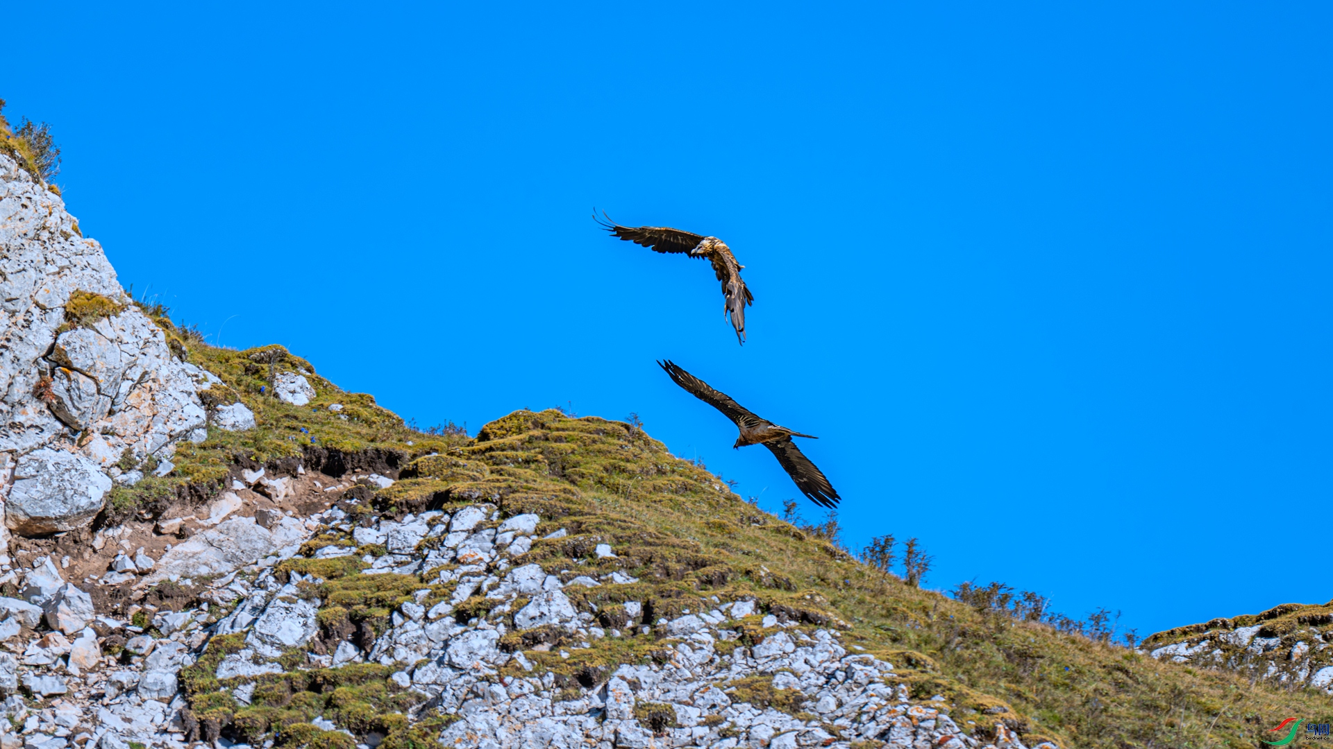 DSC_0344 ����_����.jpg