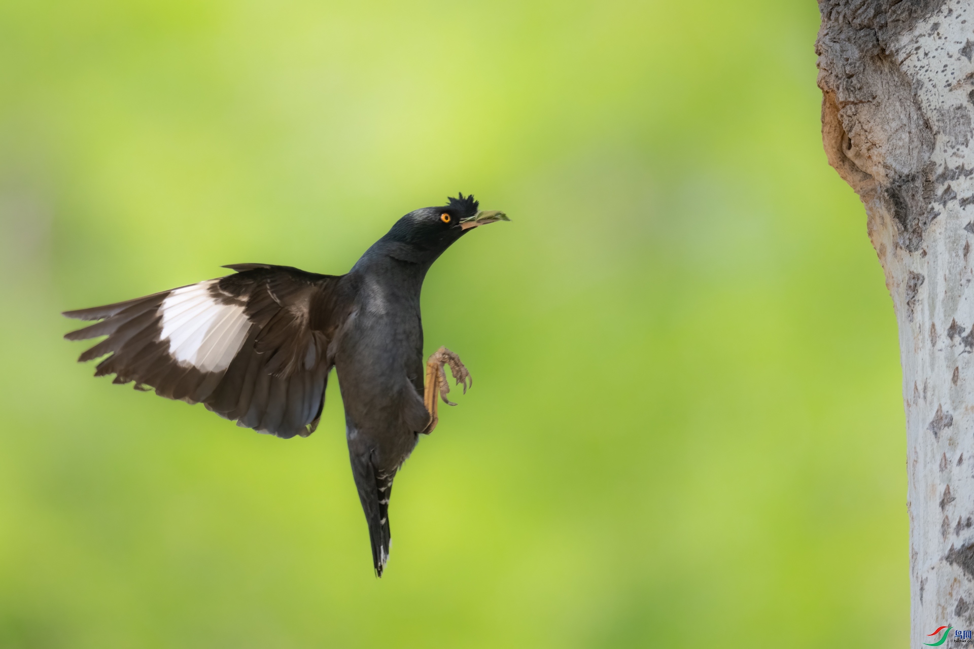 DSC_6427sen2025-6-9-14-�༭.jpg