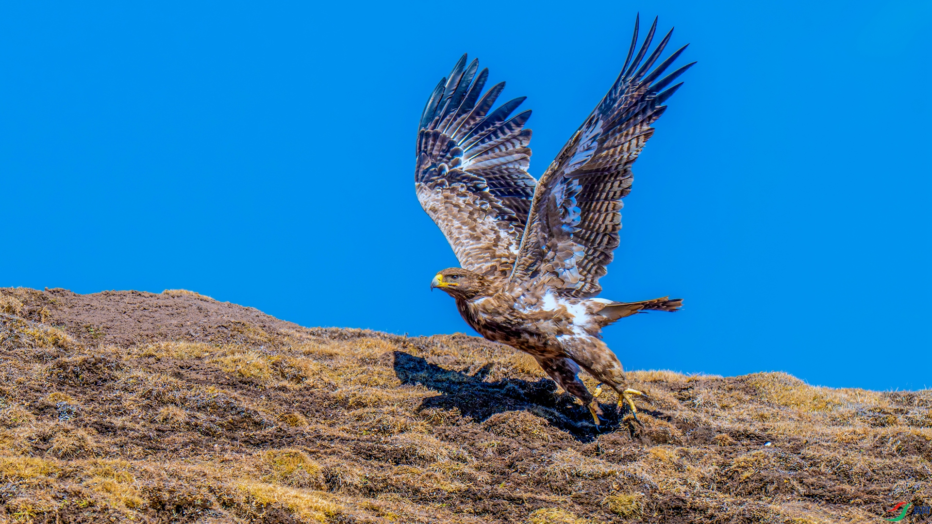 DSC_3070 ����_����.jpg