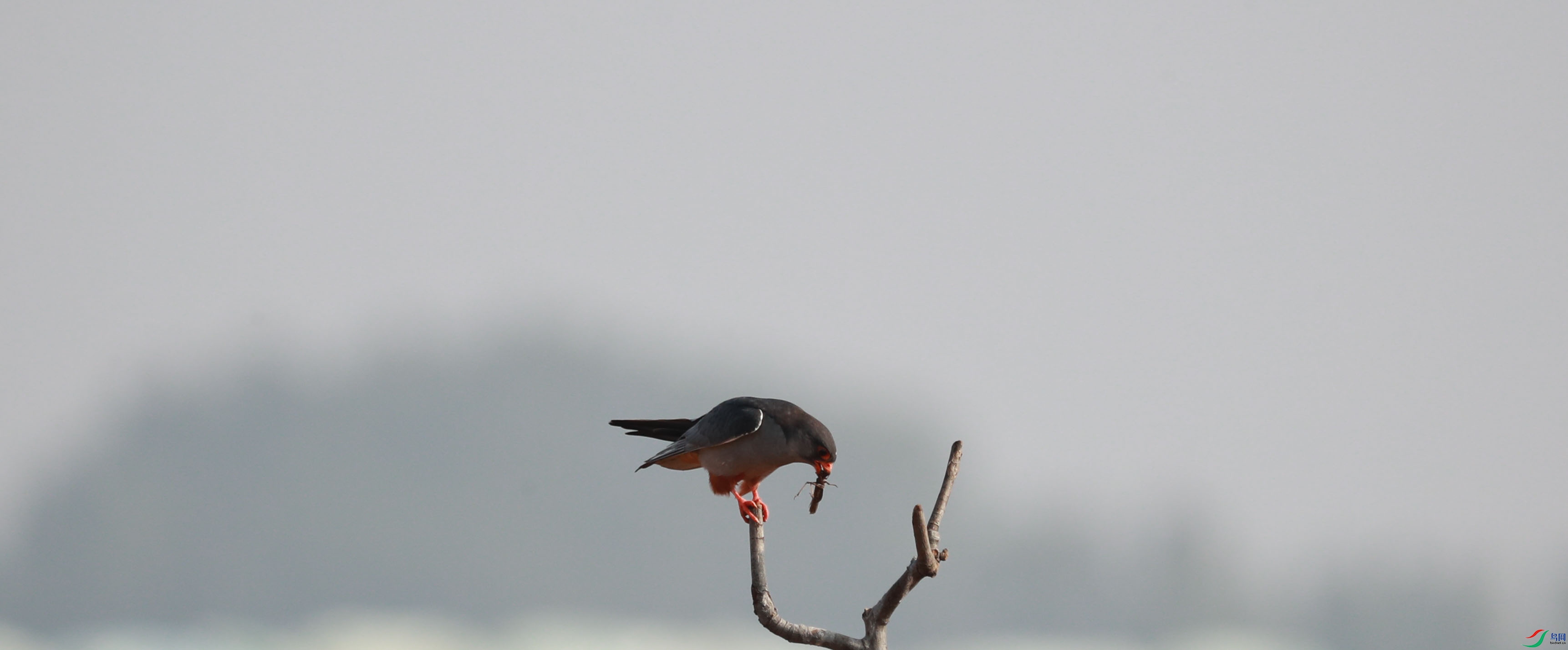 AX5I6802.jpg