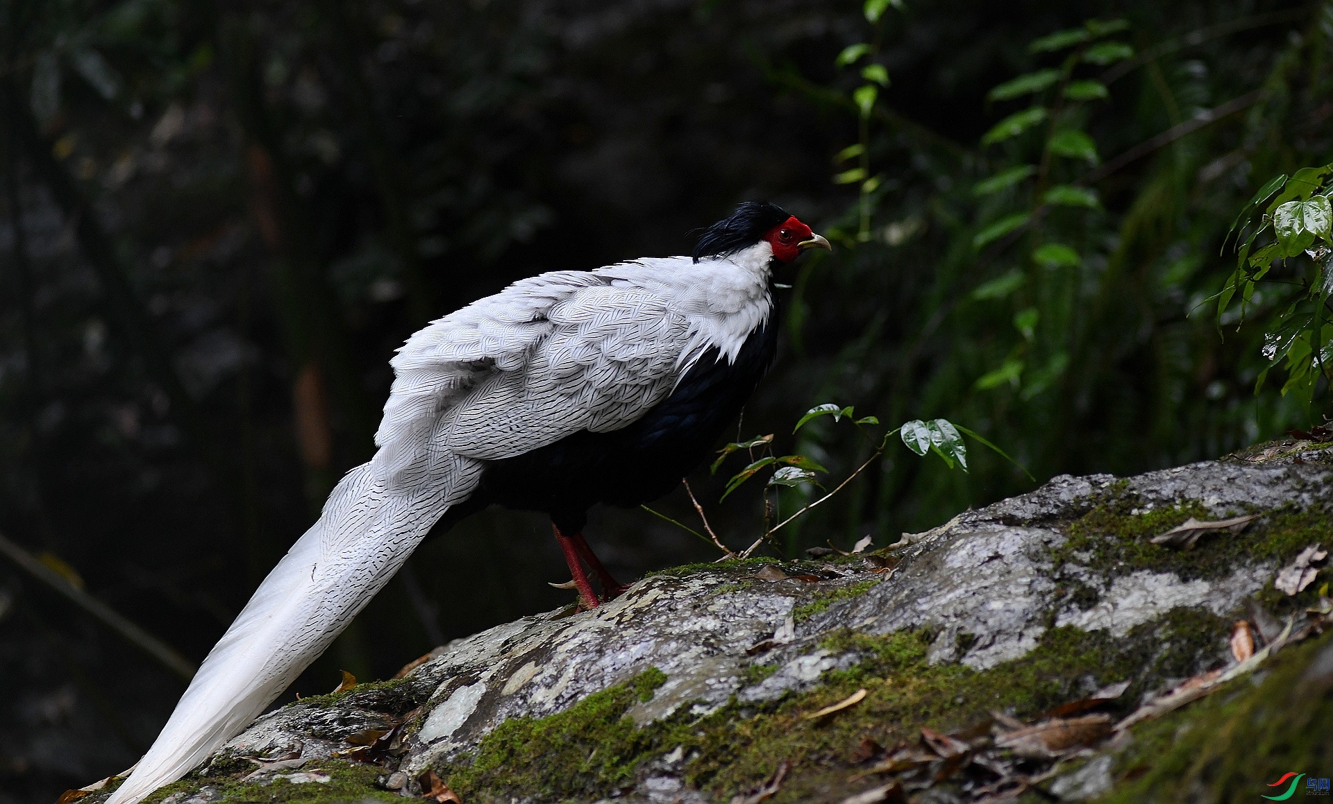 DSC_1367.jpg