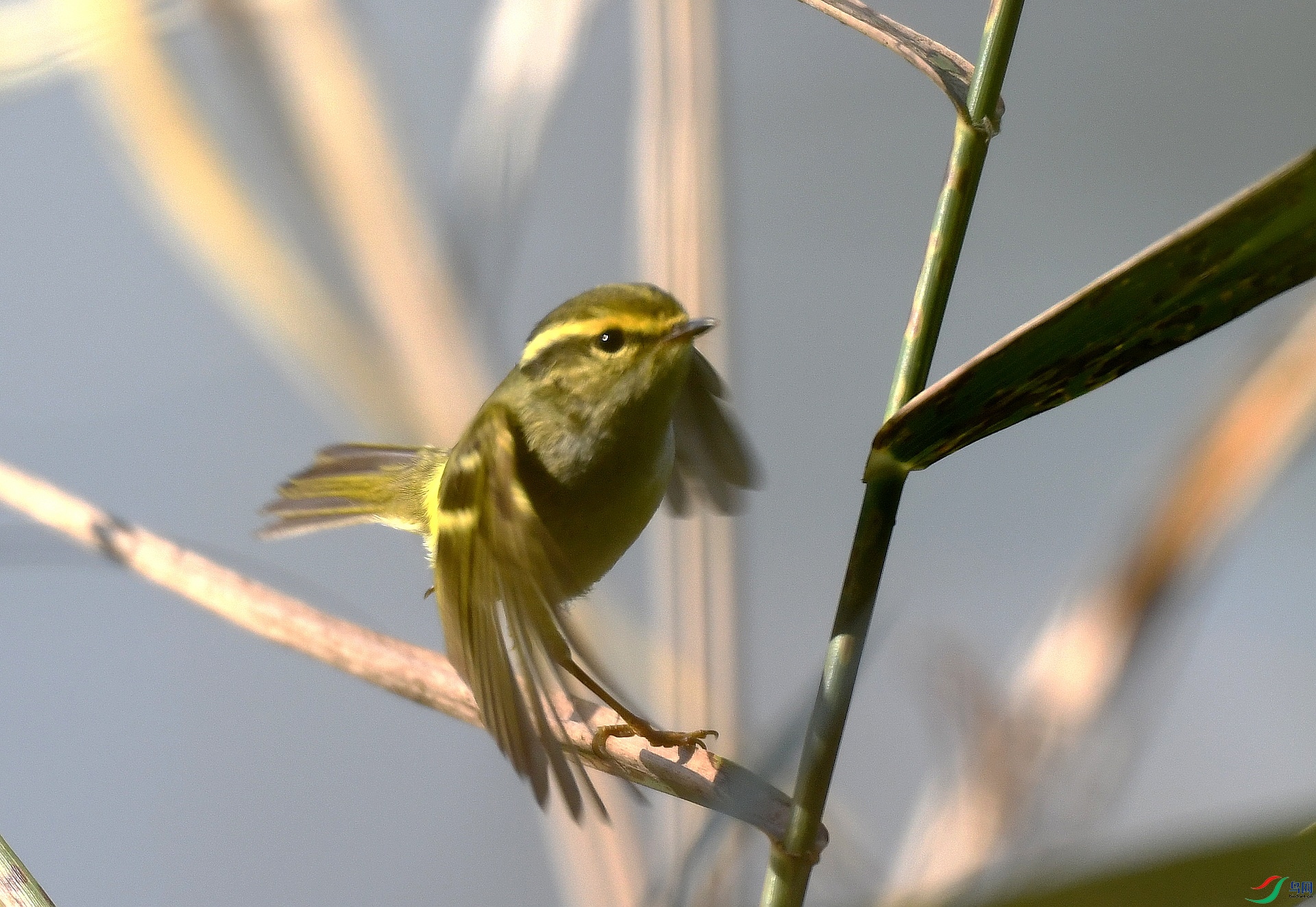 DSC_2144.jpg