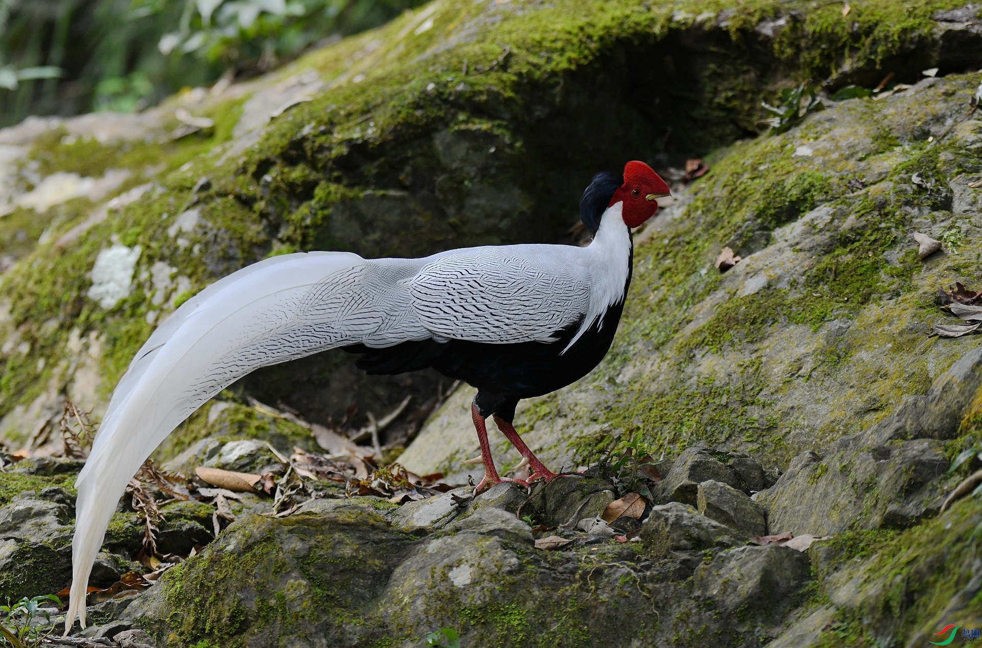 DSC_8575.jpg