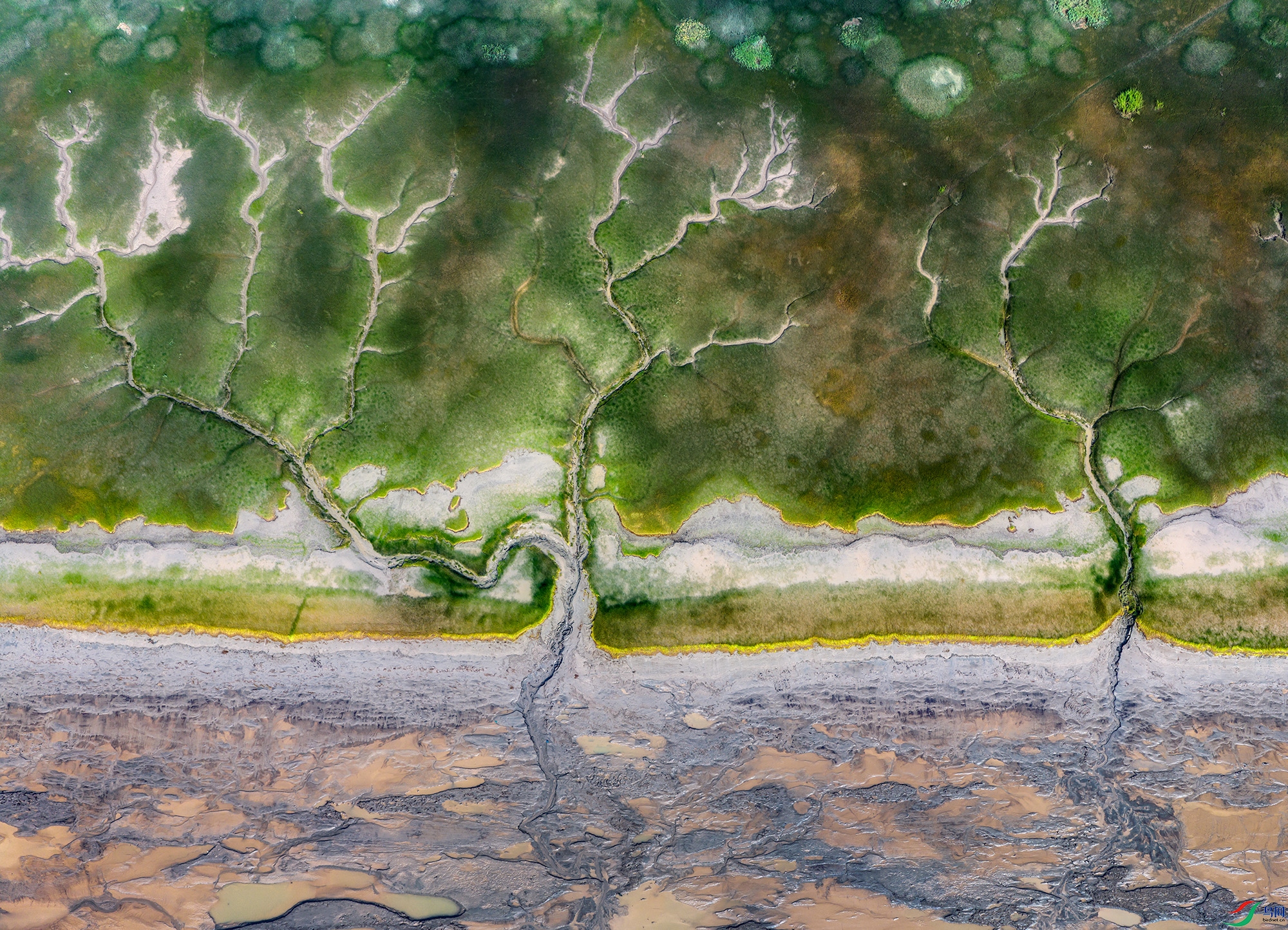 DJI_20250909091454_0092_D ����.jpg