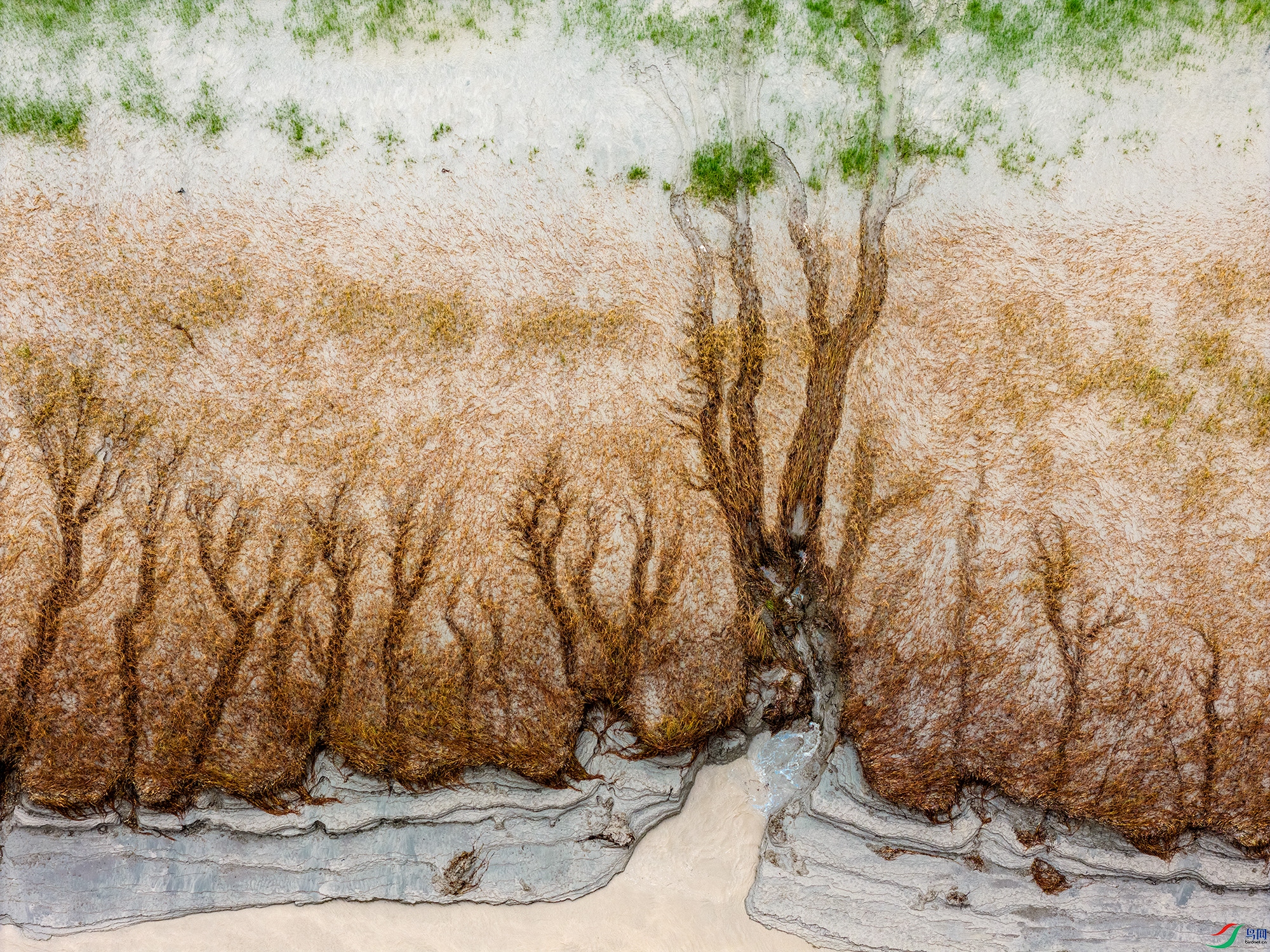 DJI_20250909162711_0115_D ����aaa.jpg