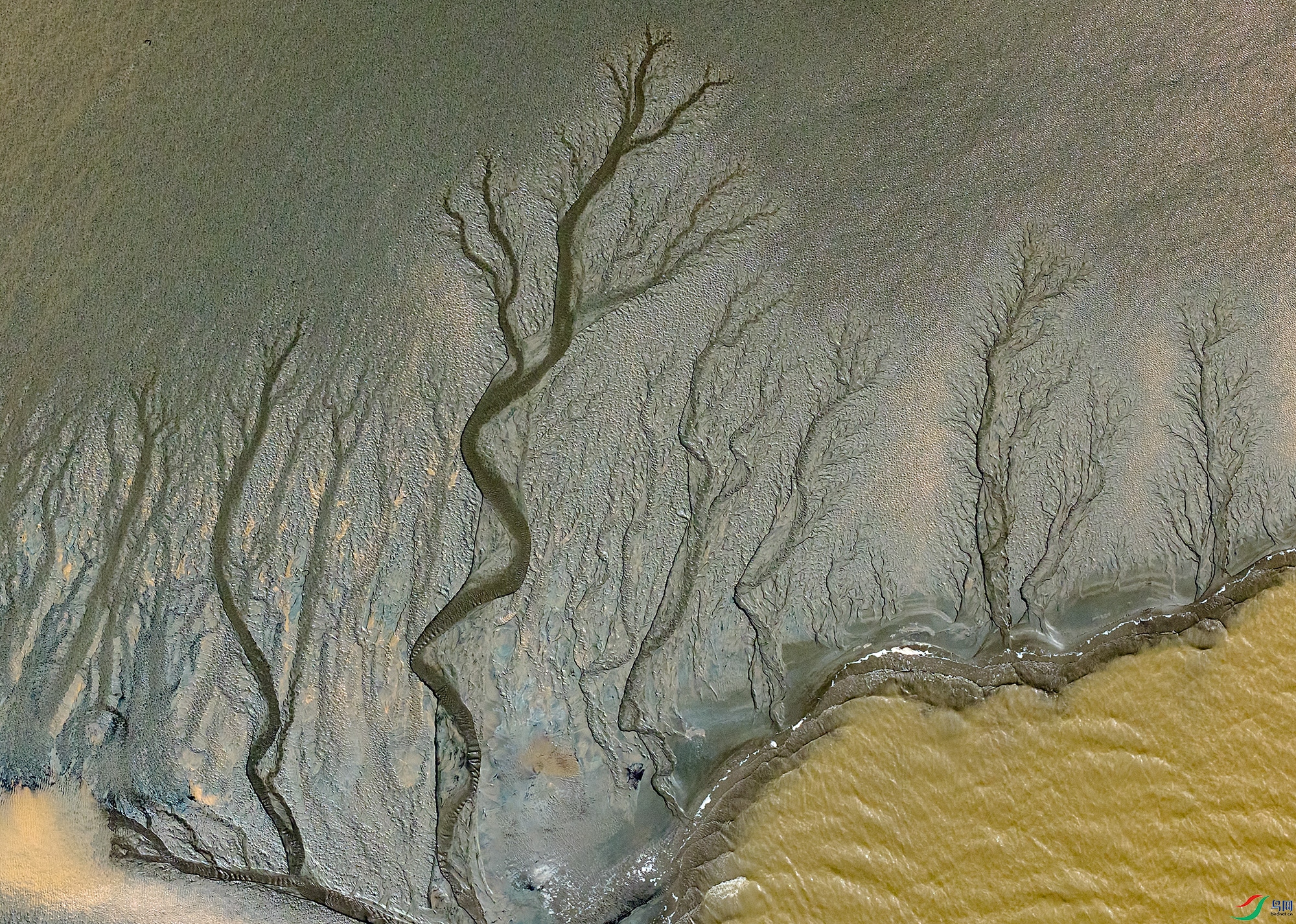 DJI_20250910093256_0476_D ����a.jpg