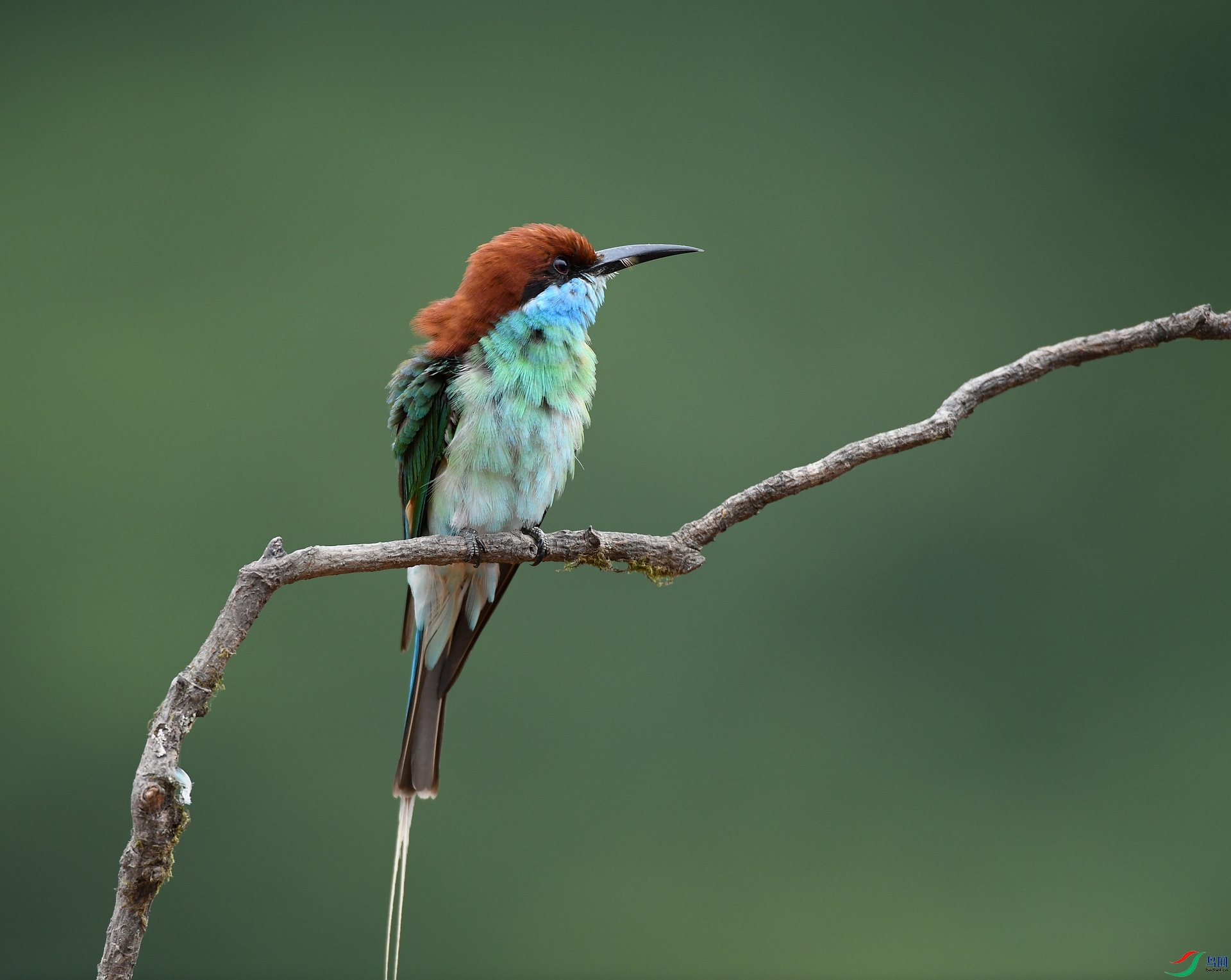 DSC_1142.jpg