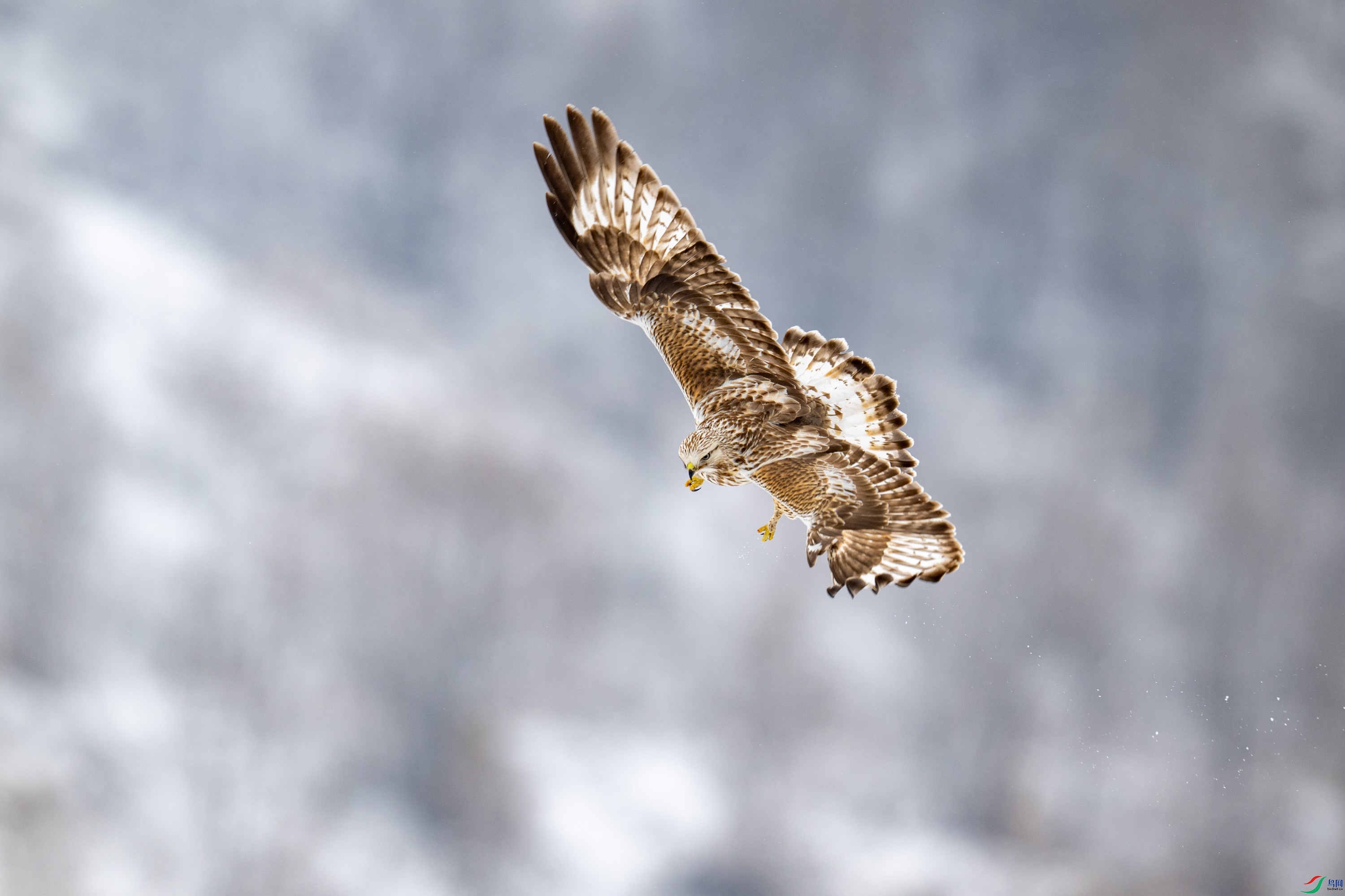 DSC_6861.jpg
