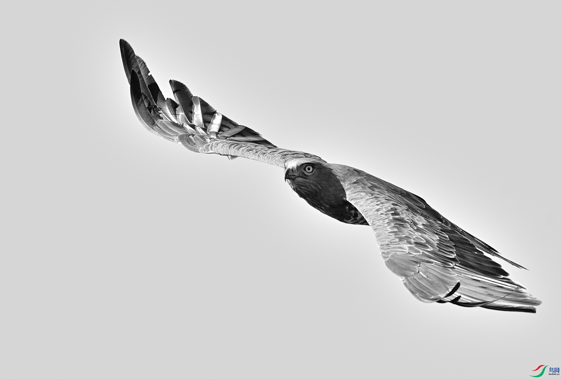 DSC_2066.JPG