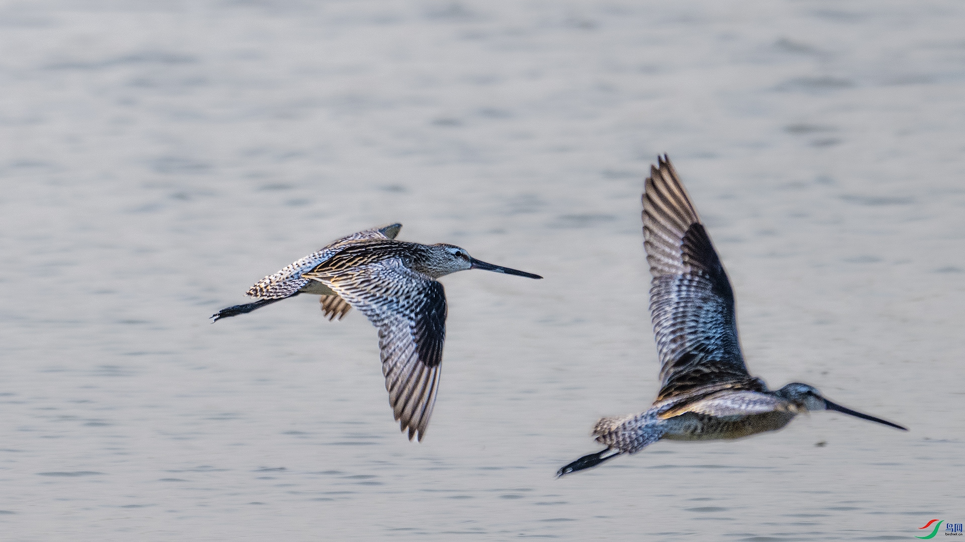 DSC_3763 ����.jpg