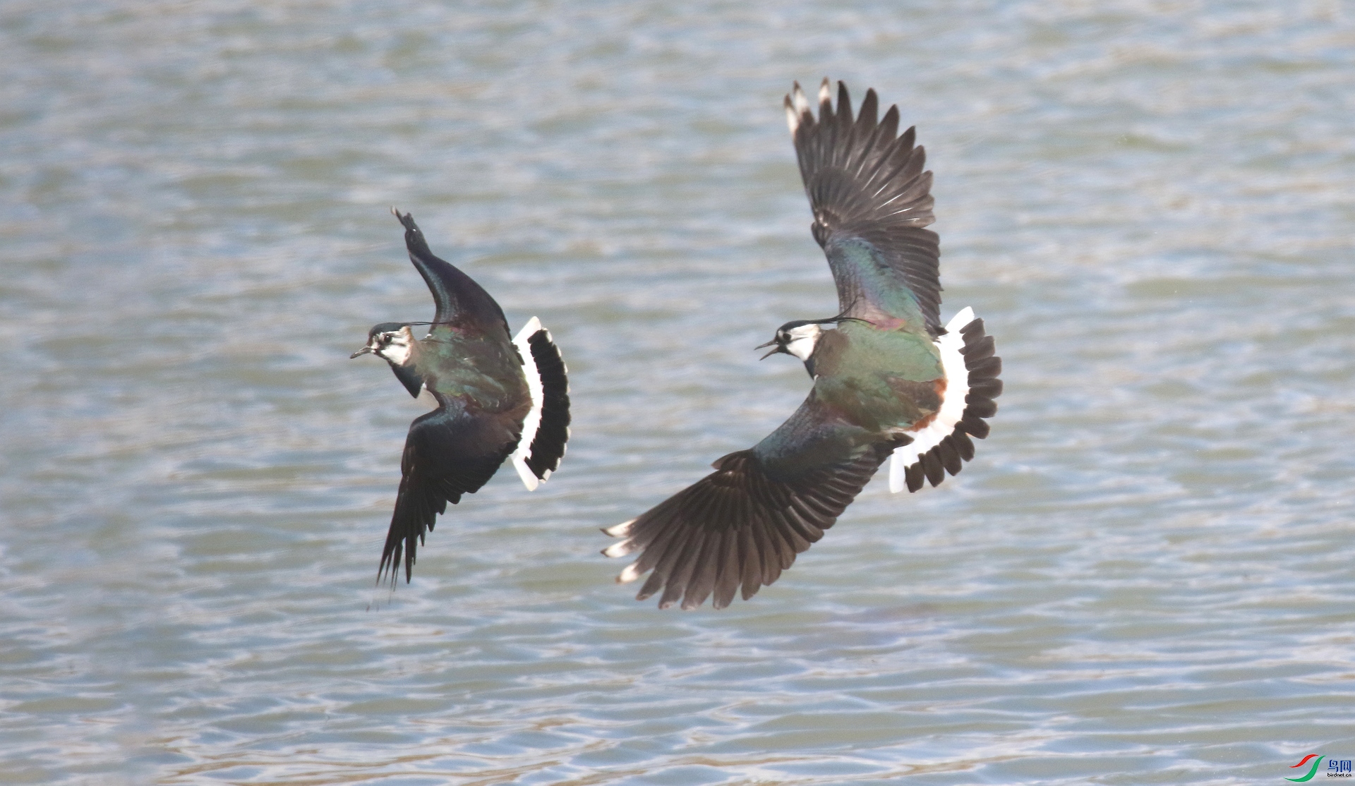 0G1A5726 ����.jpg