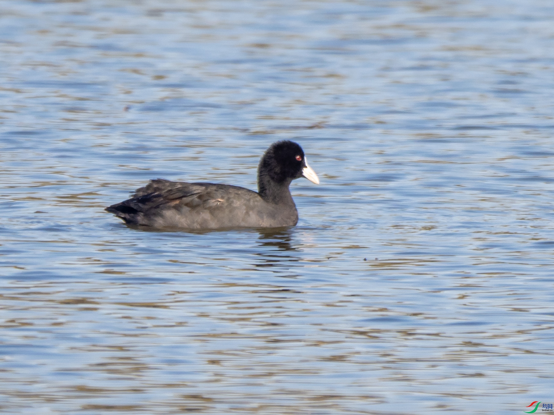 PA272809.jpg