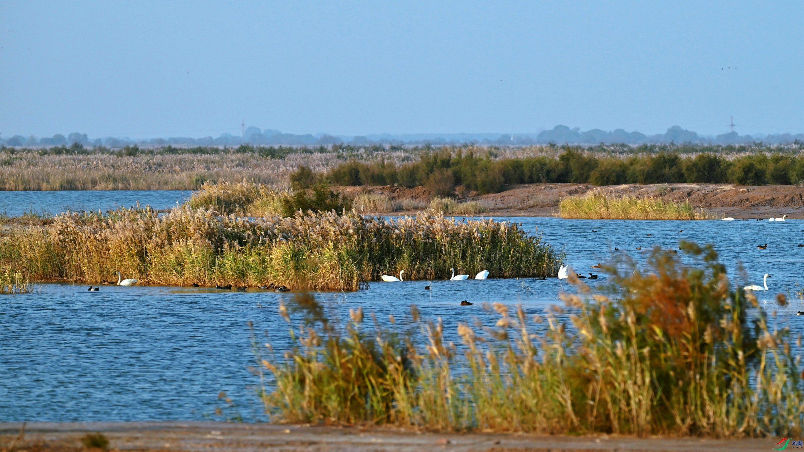 DSC_8891.JPG