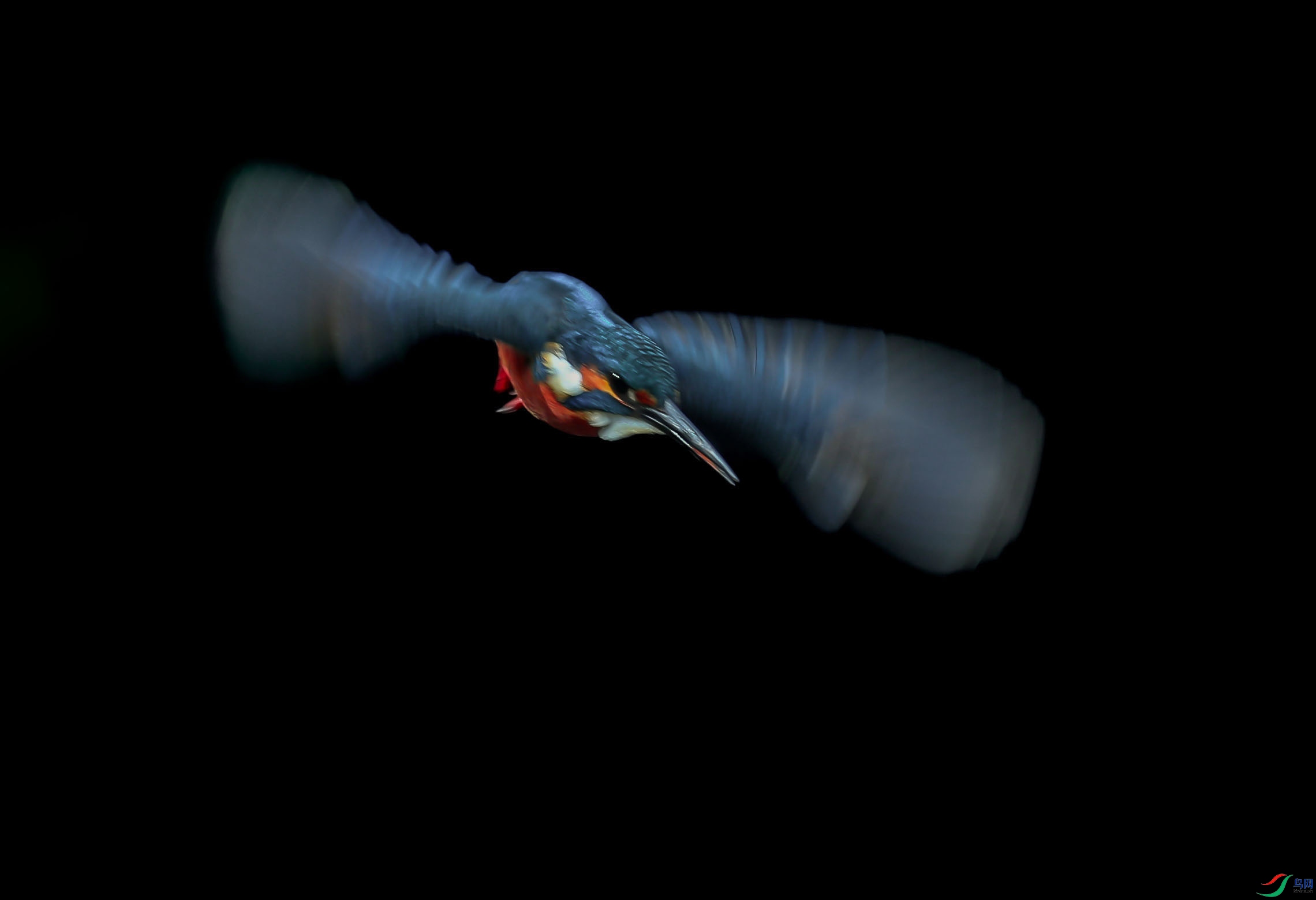 0N6A1687 ���� 2.jpg