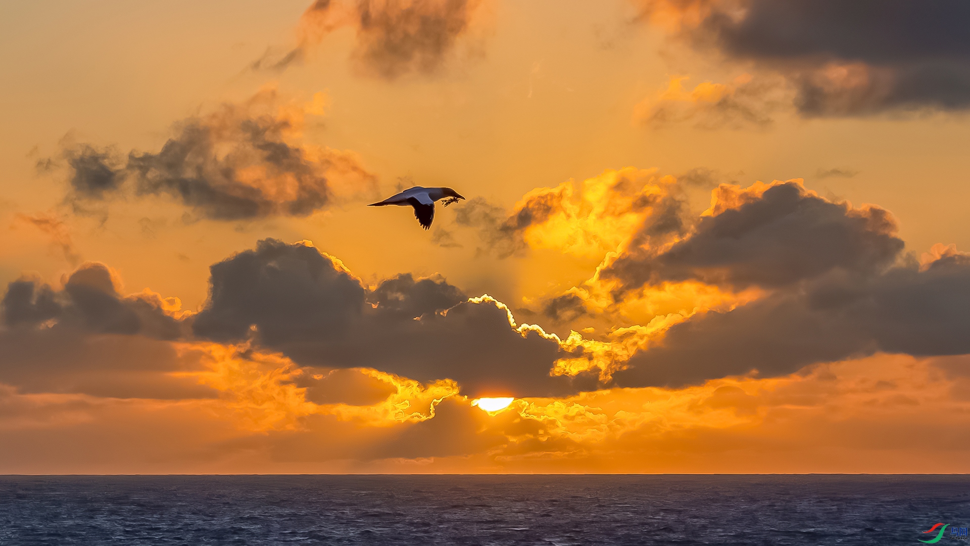 _M8A5240-����ǿ-NR.jpg1234.jpg