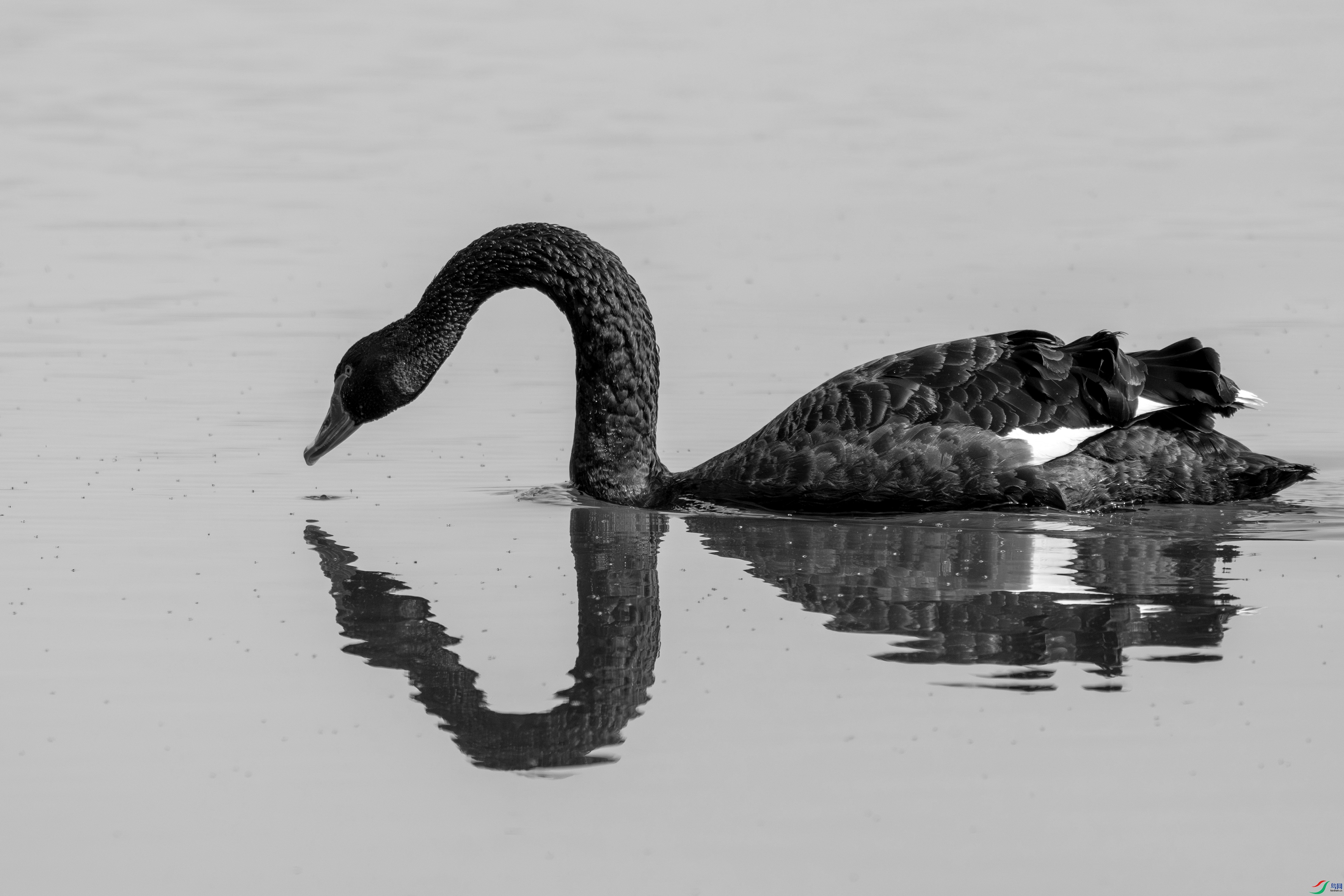 DSC_4695-����.jpg
