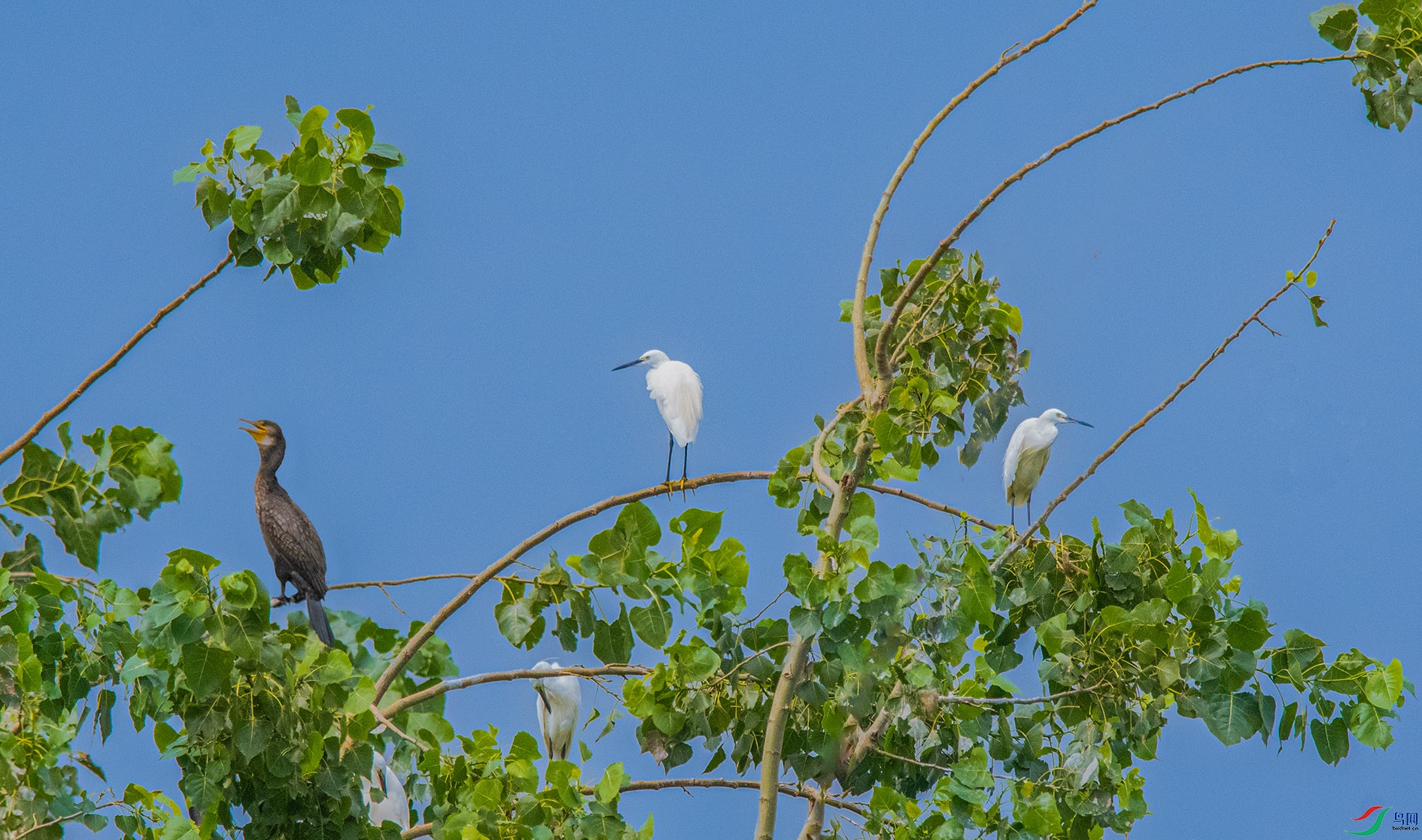 DSC_0375_��ͼ�� ����.jpg