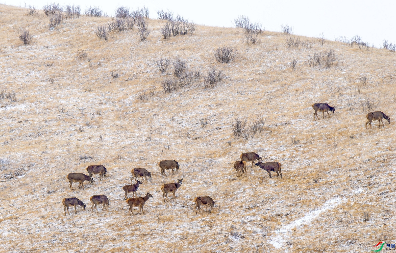 �״�¹ (1)-01.jpg