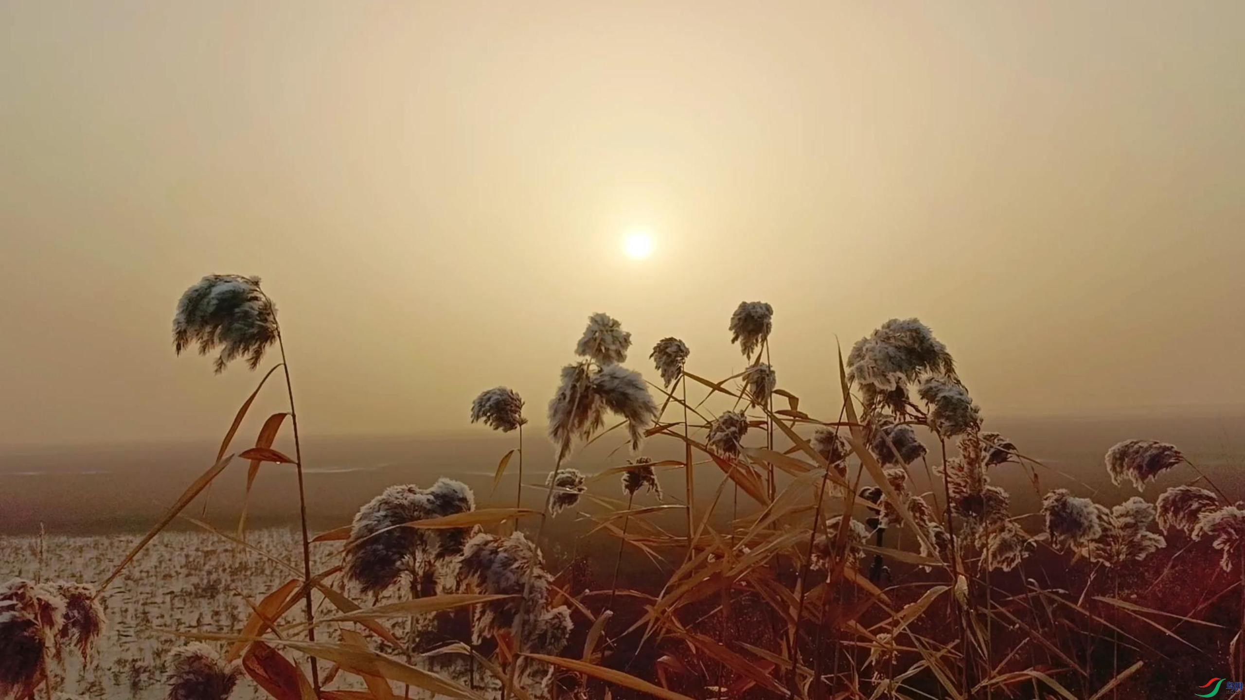 11��18�� (4)-����.jpg