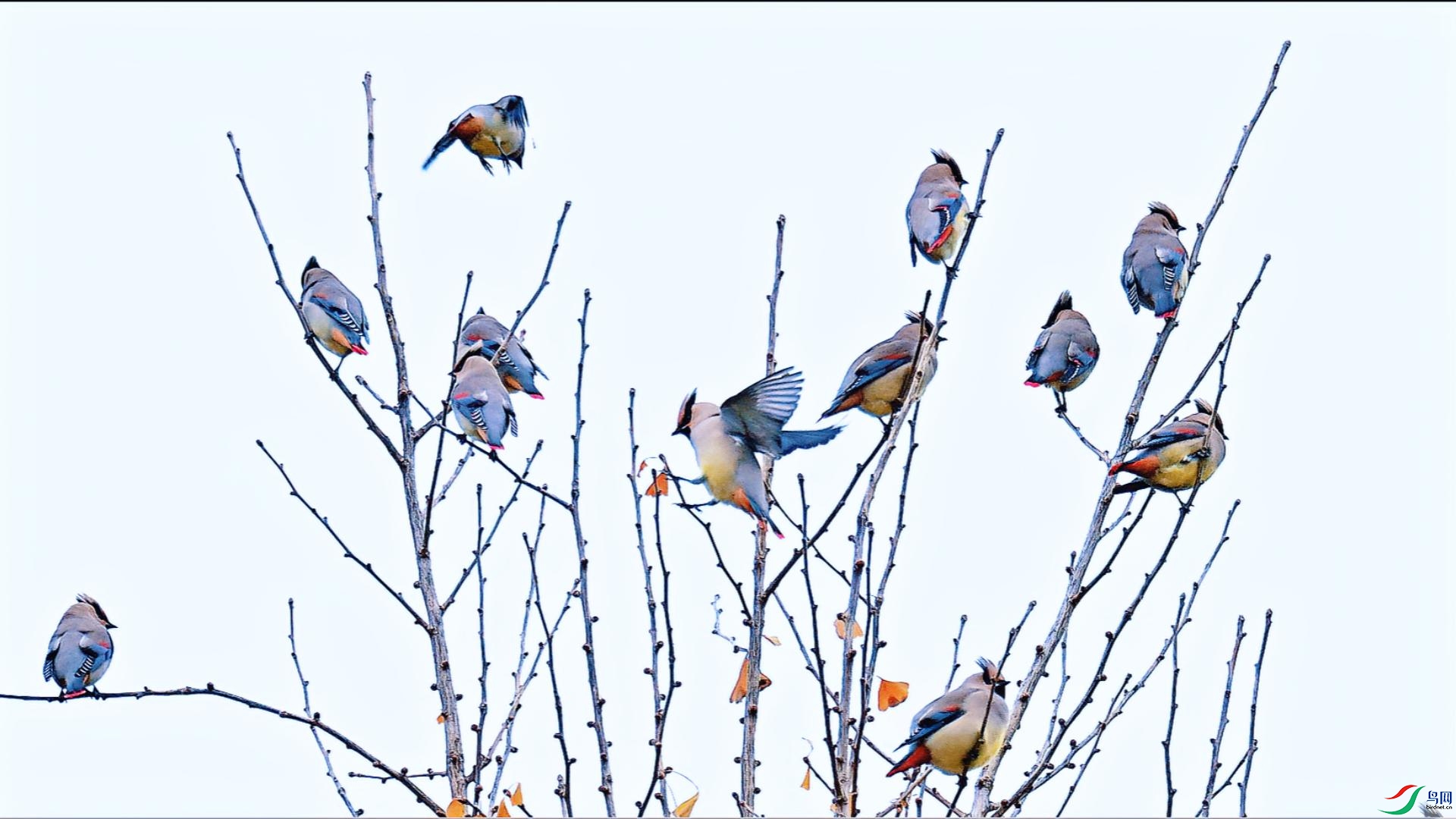 Ǩ���е�̫ƽ�������˴�����