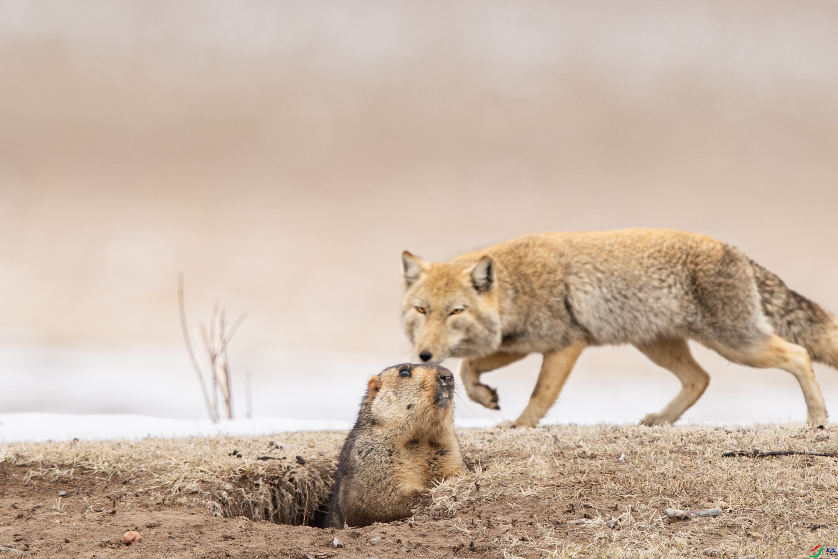 A15I2318 ����.jpg