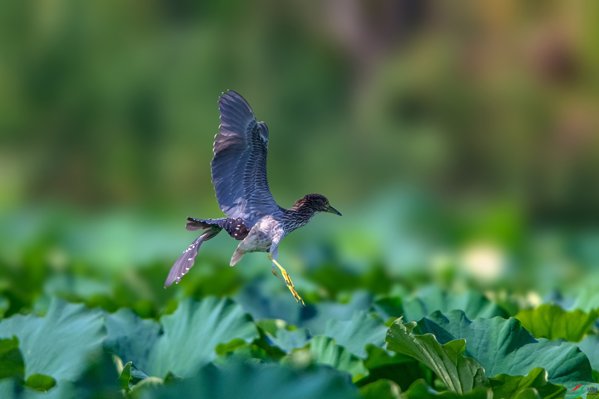 _AUU9696ҹ��(24.8.29).jpg
