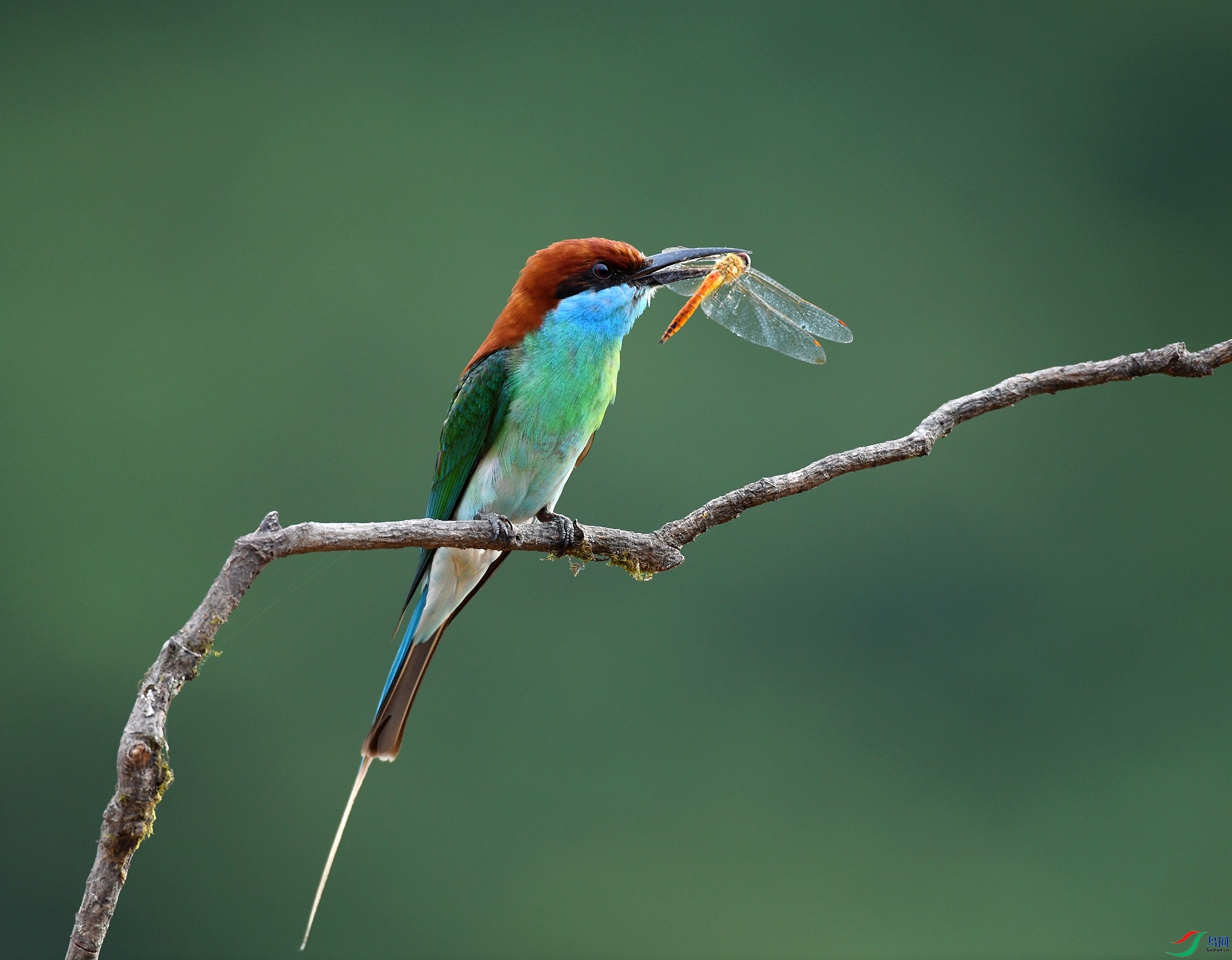 DSC_0711.jpg