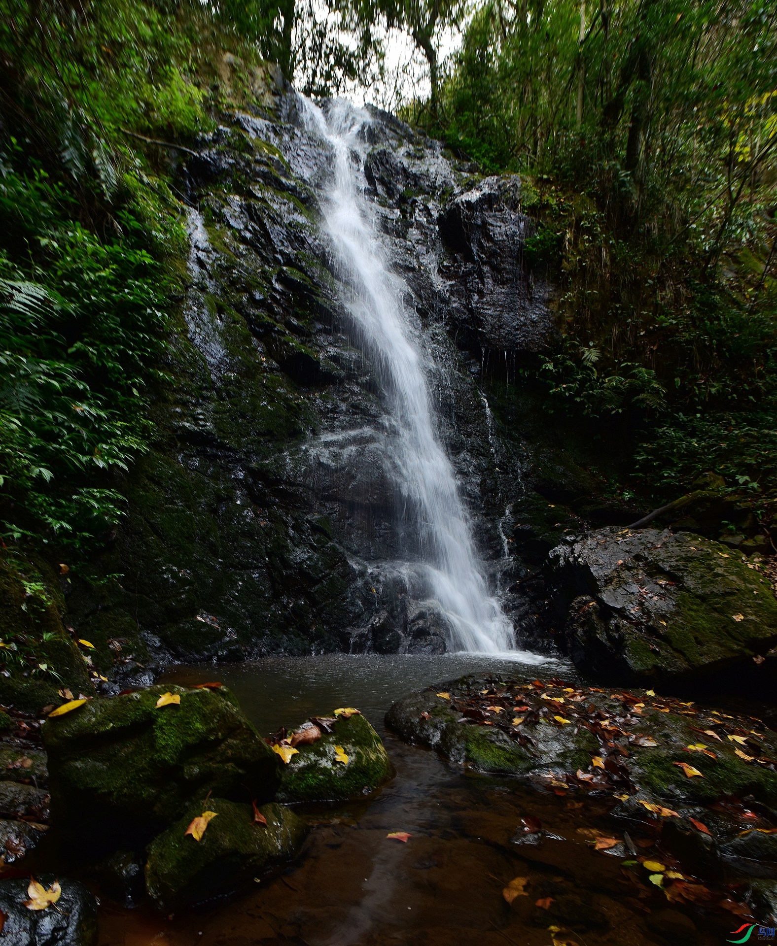 D8I_0005.jpg