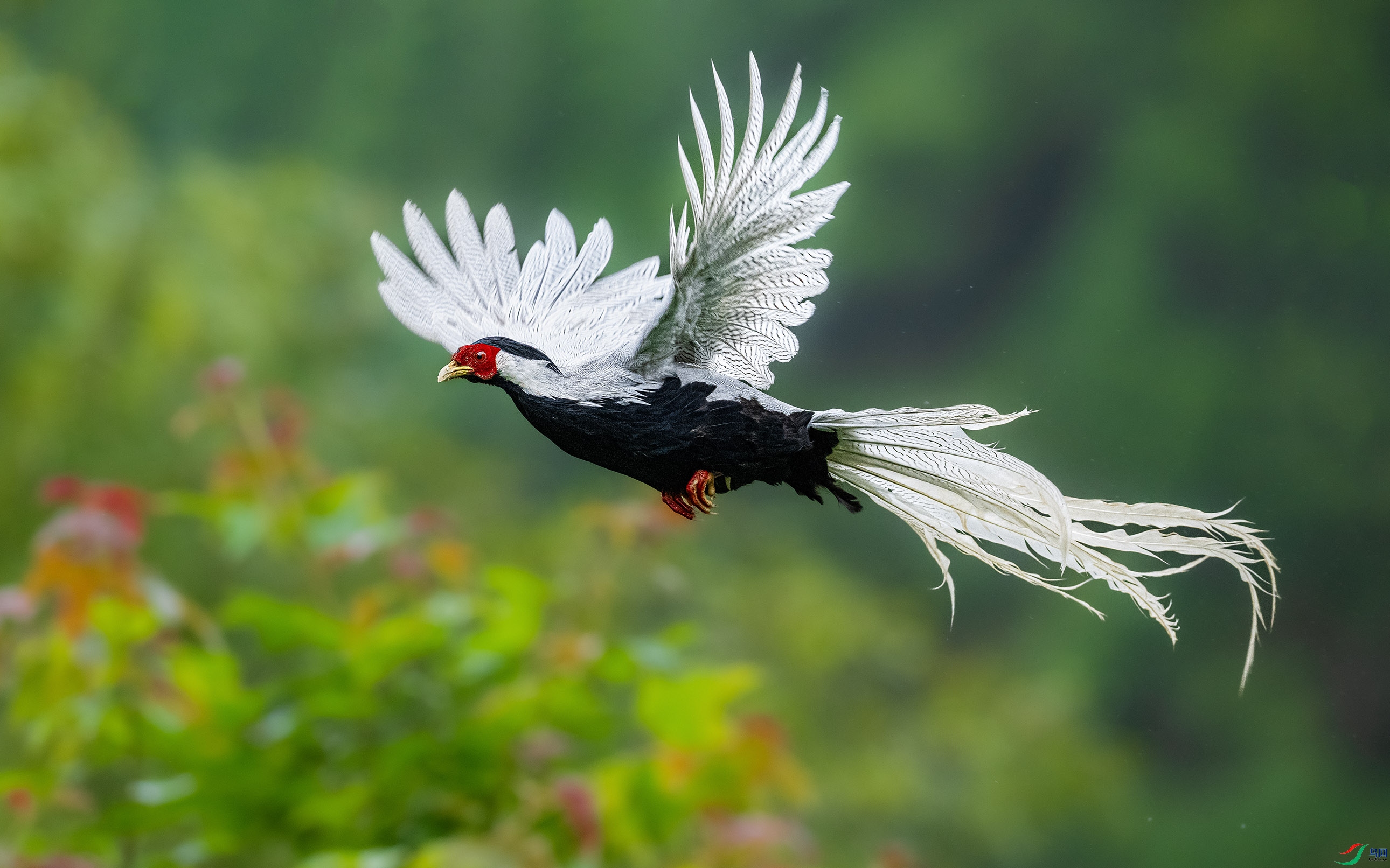 _DSC7203-1.jpg