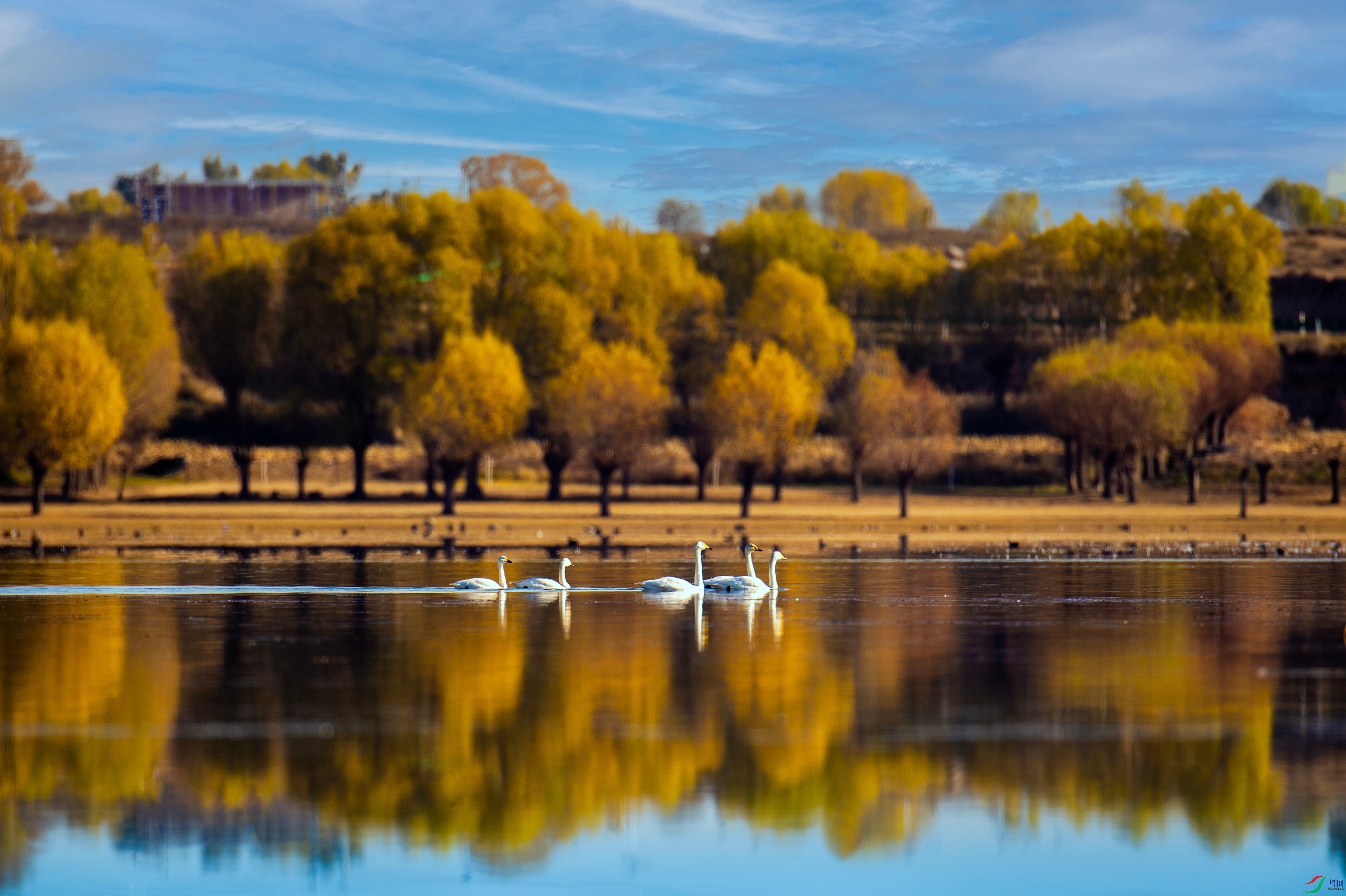 YJY_7453 ���� 2_����.jpg