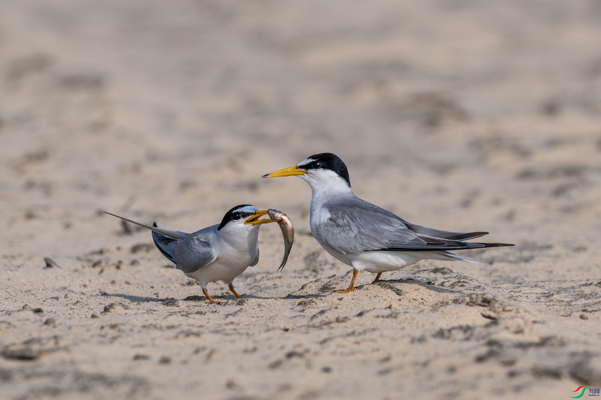 DSC_5972.jpg