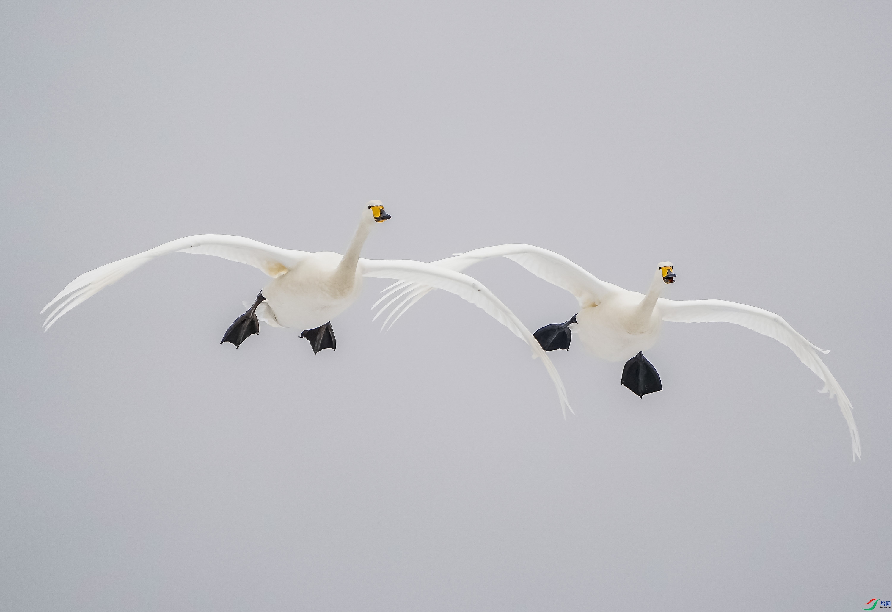 �����-5 (2).jpg