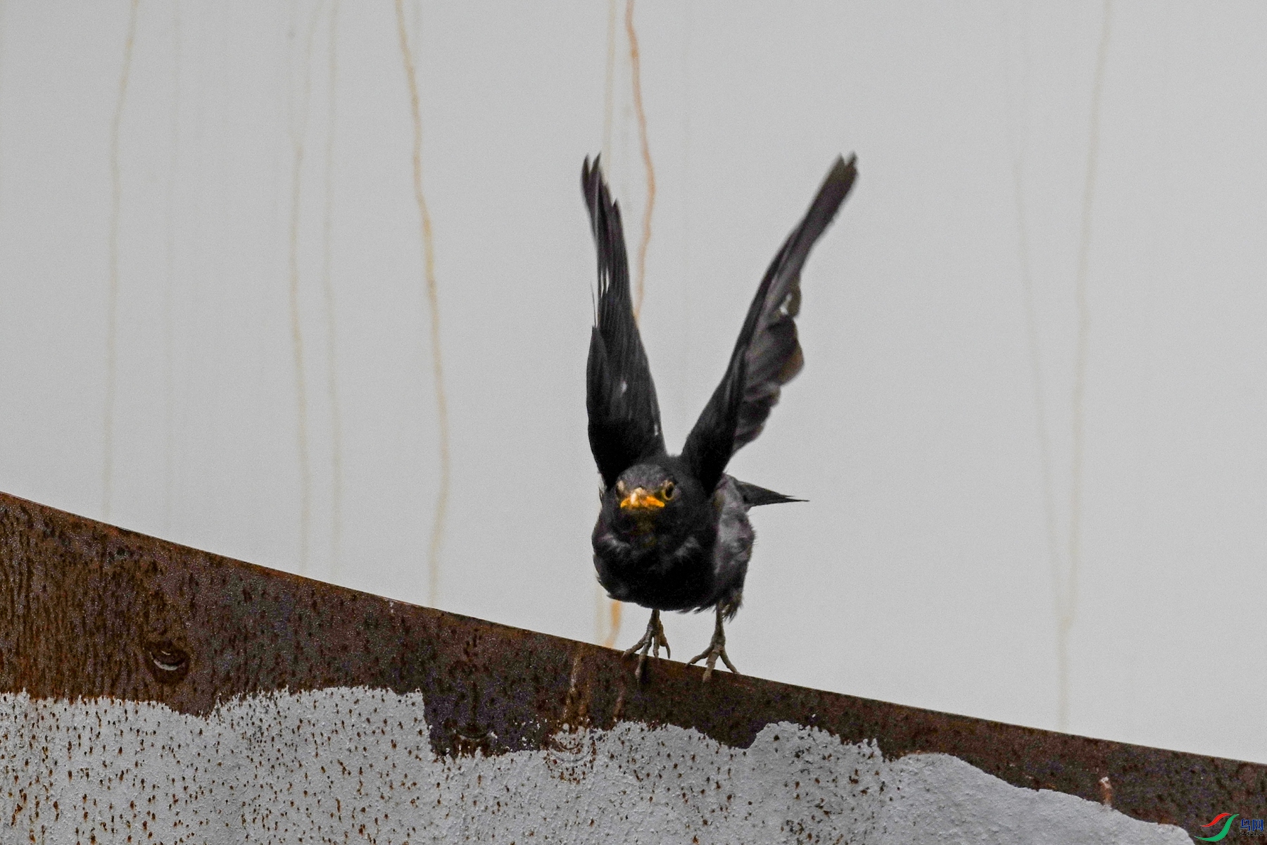 DSC_8079.JPG