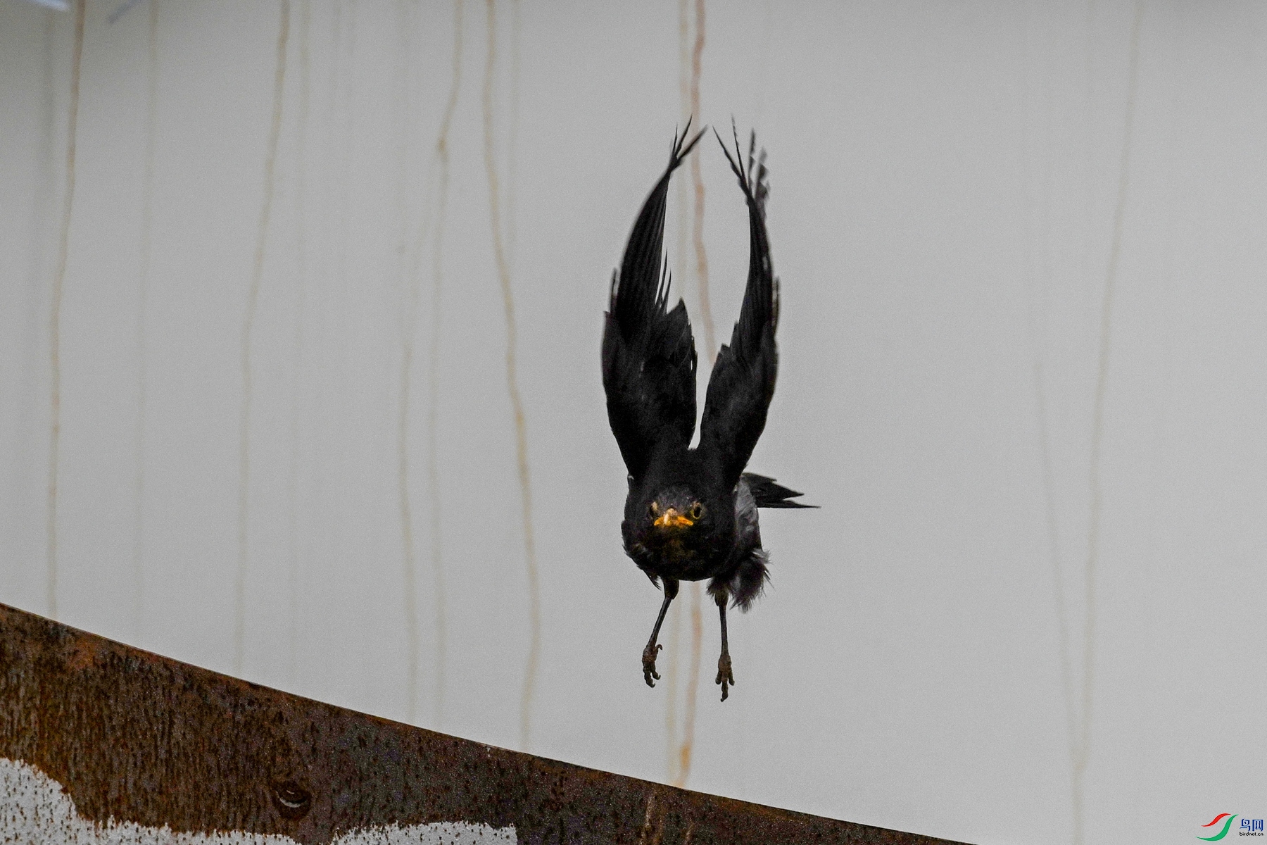 DSC_8085.JPG