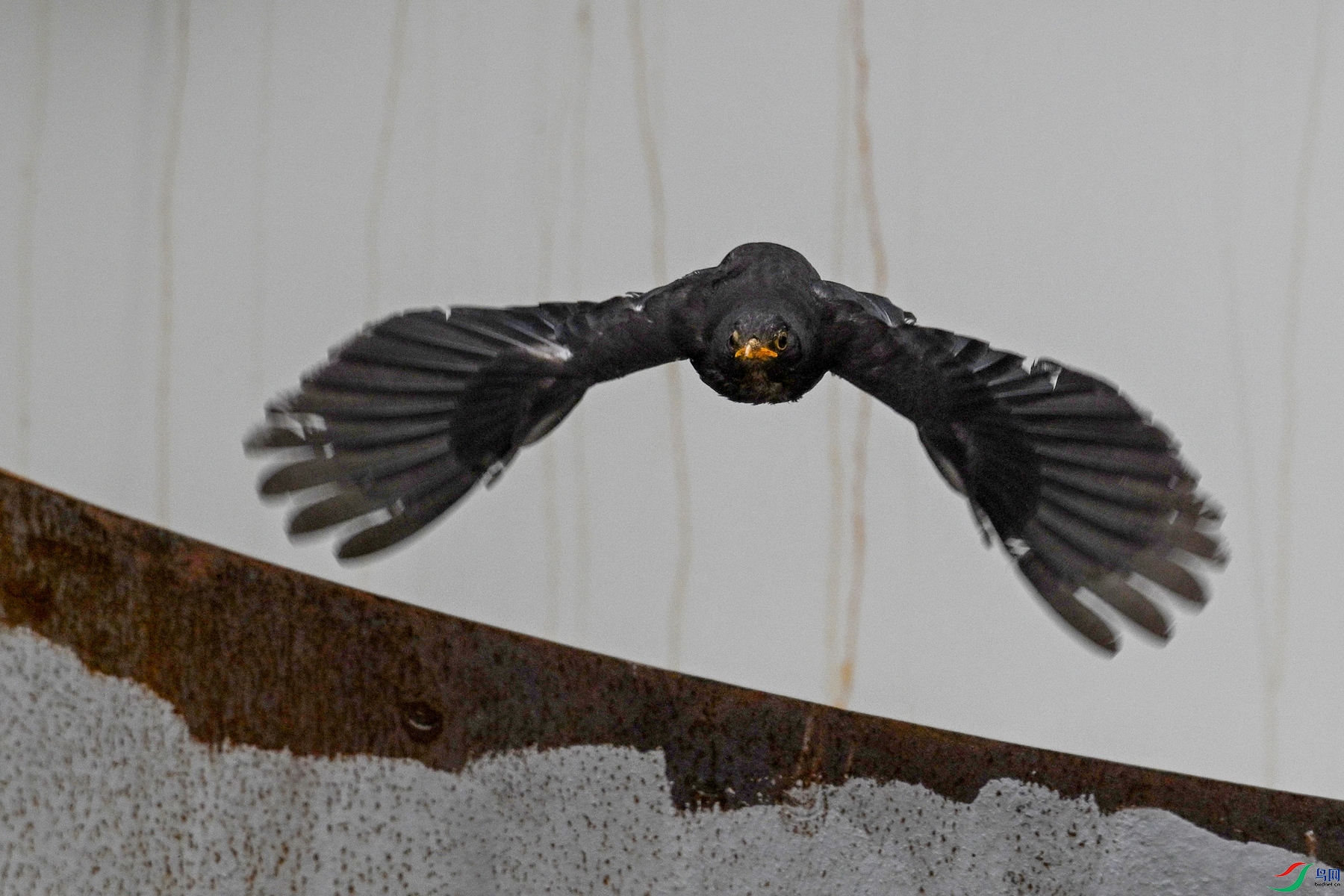 DSC_8093.JPG