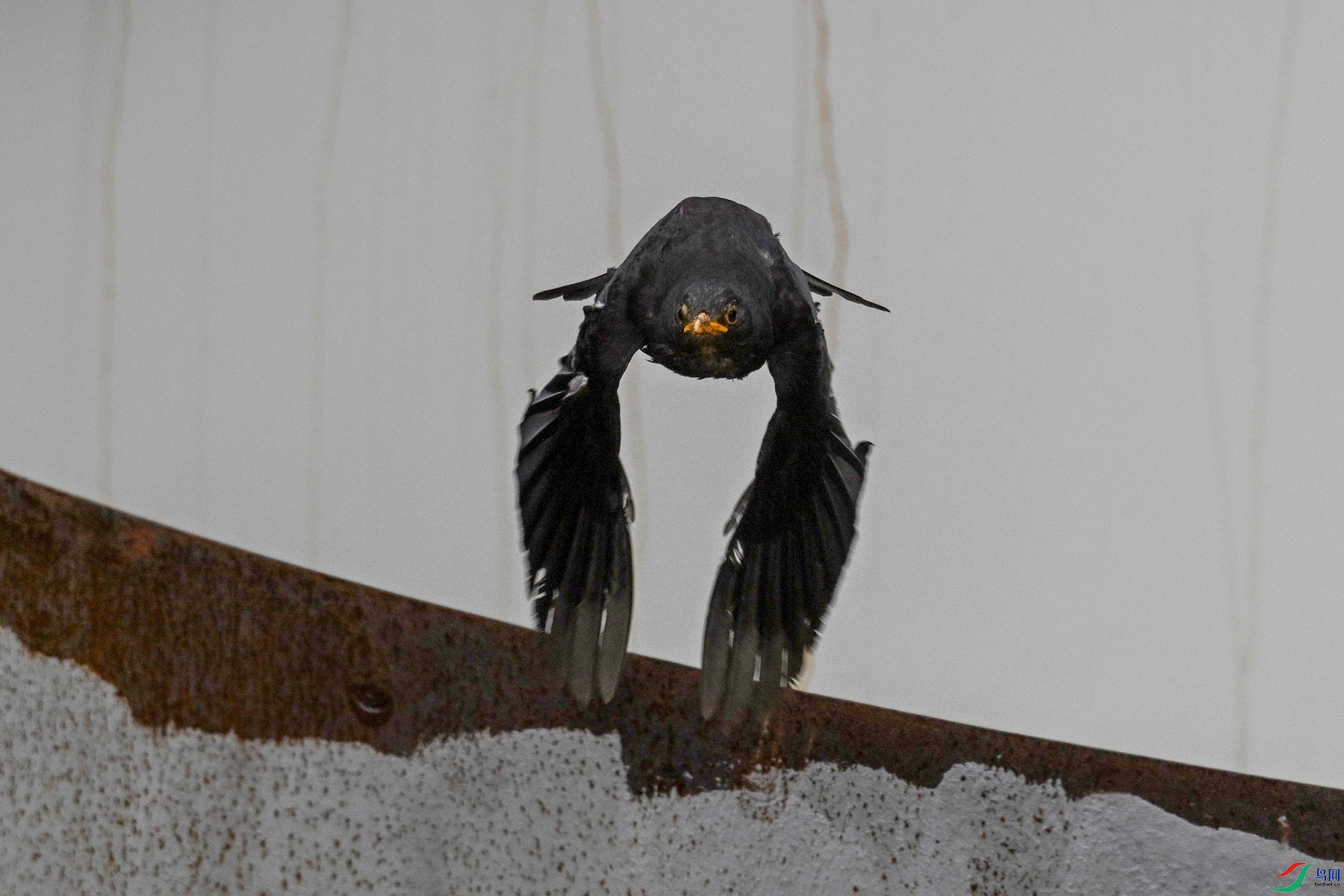 DSC_8094.JPG