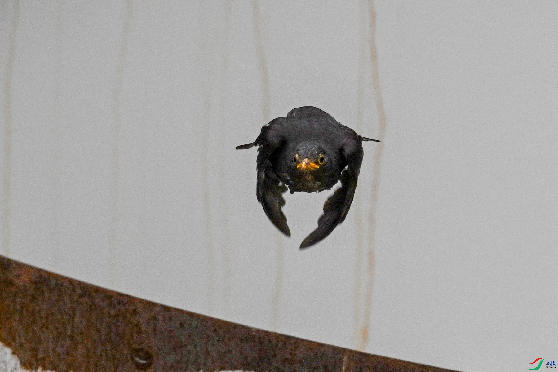 DSC_8095.JPG
