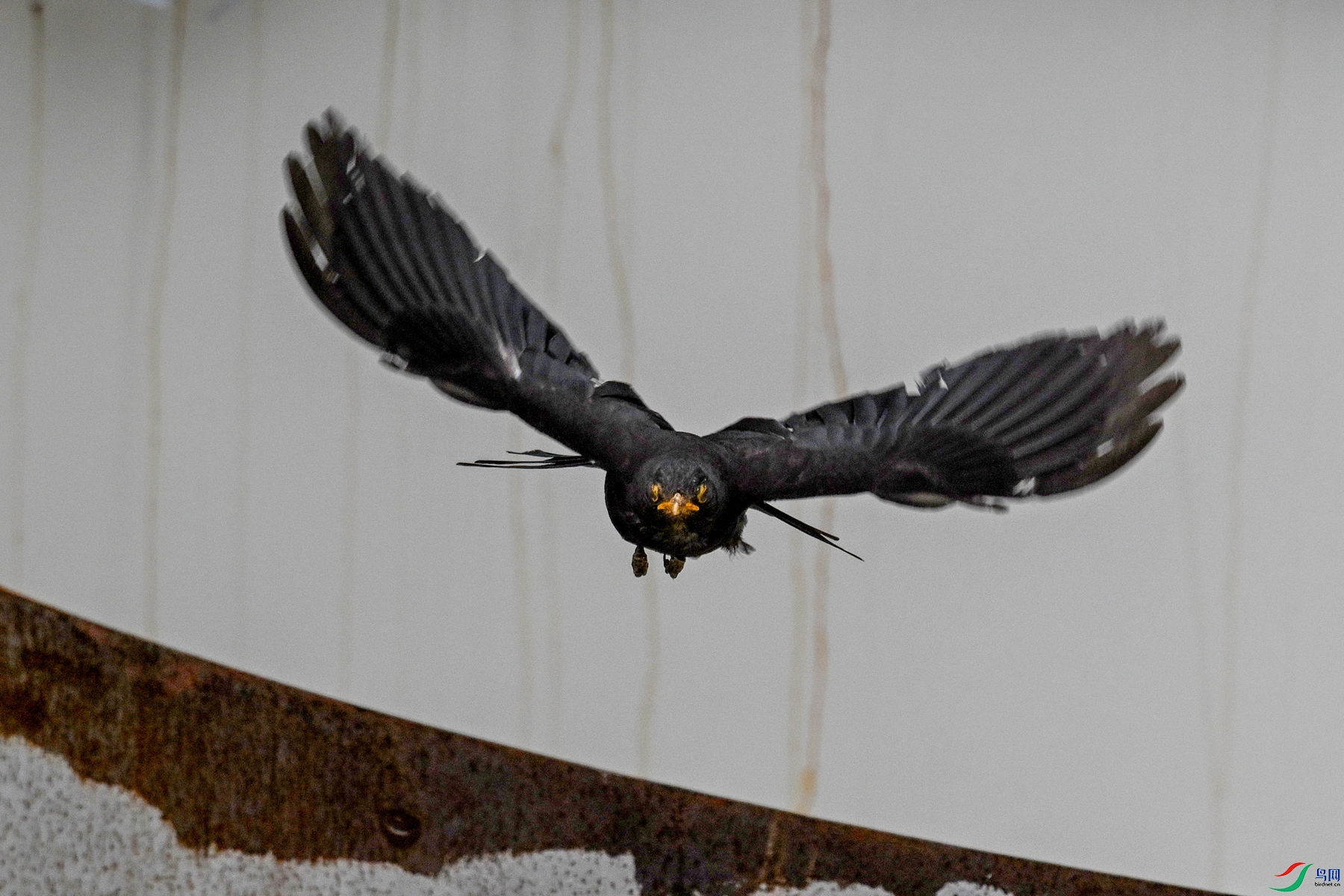 DSC_8098.JPG