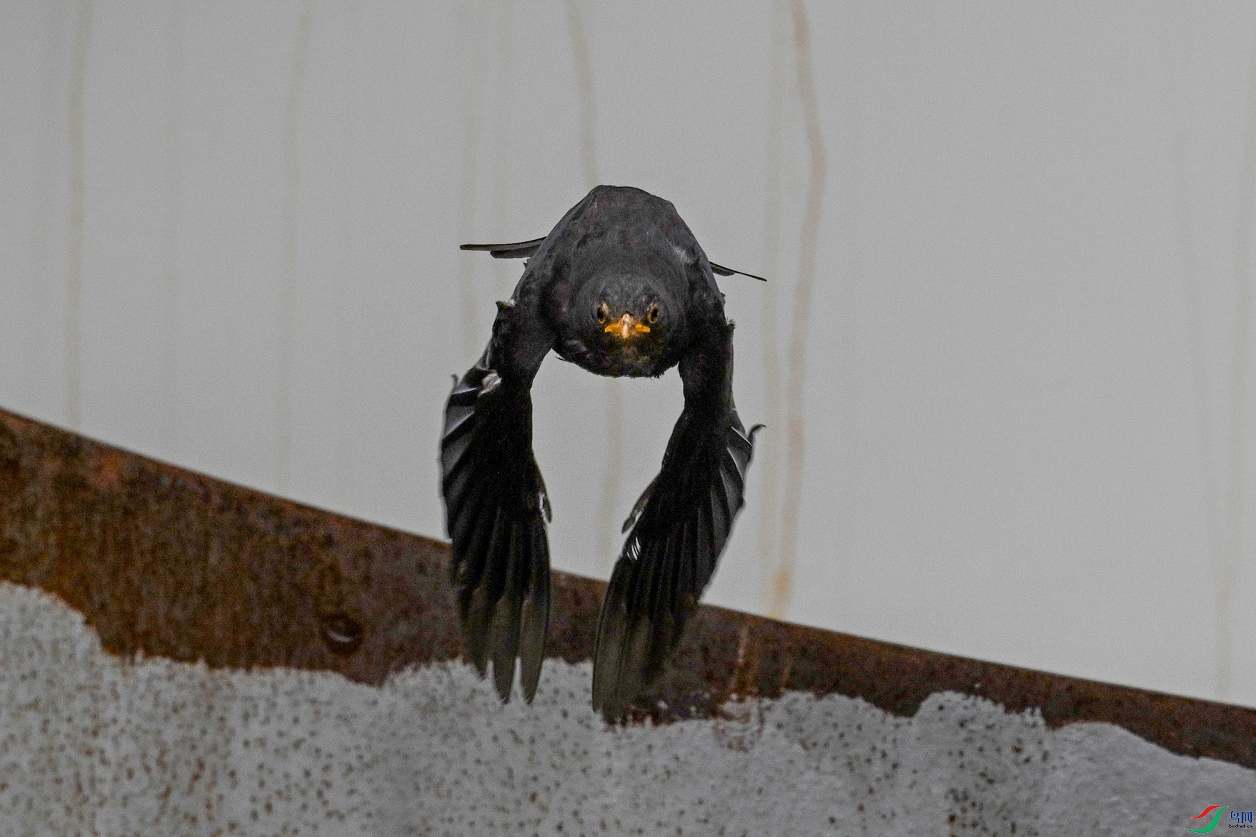 DSC_8100.JPG