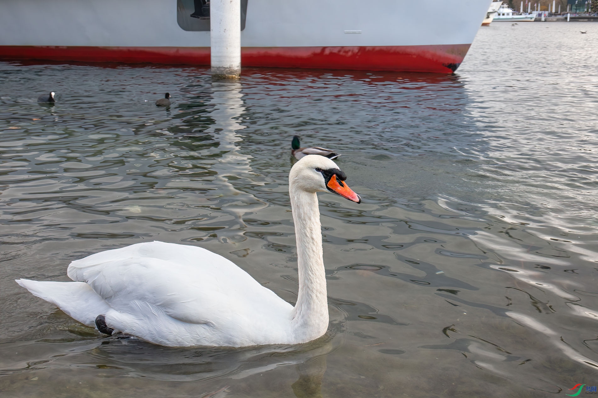 c_12375-1.jpg