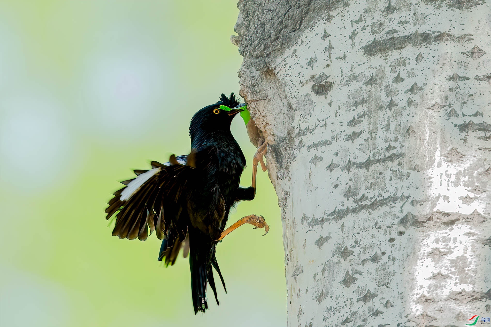 AQ4P9949-1.jpg