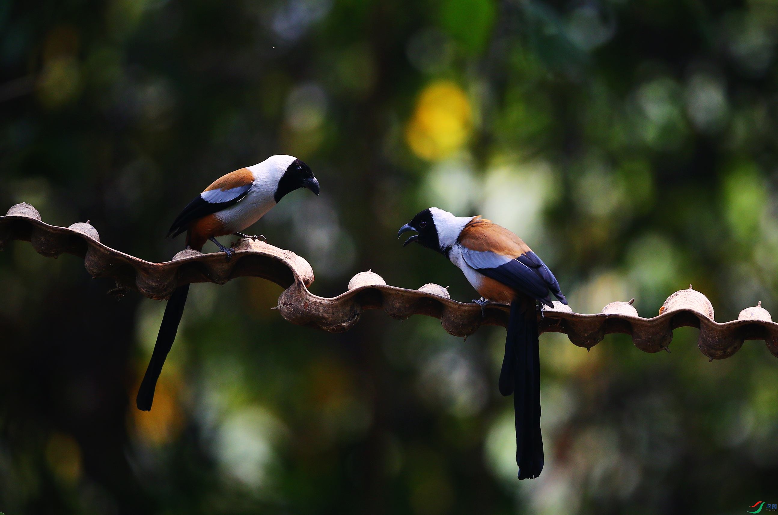 �ڶ����� (27).JPG