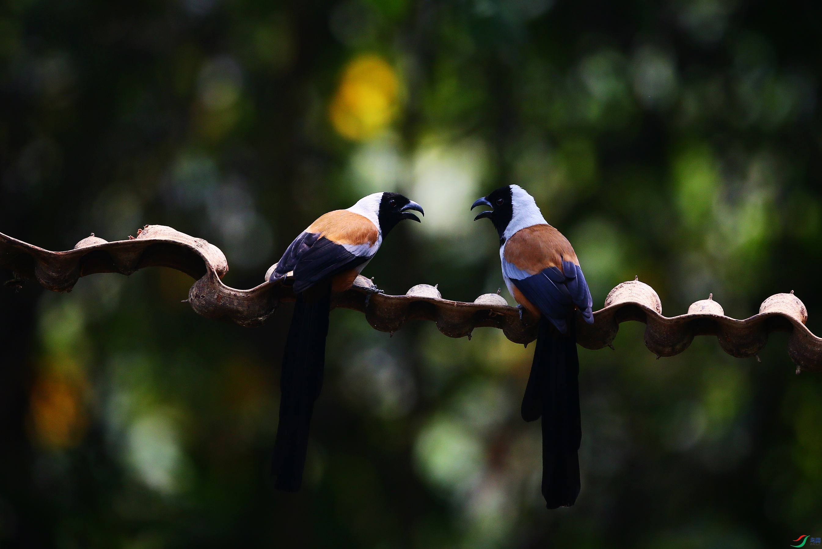 �ڶ����� (33).JPG