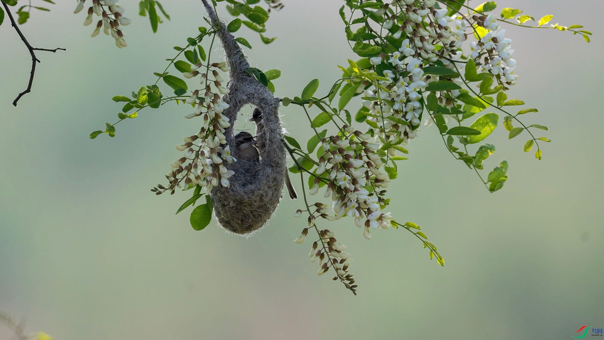 _DSC0762 ����.jpg